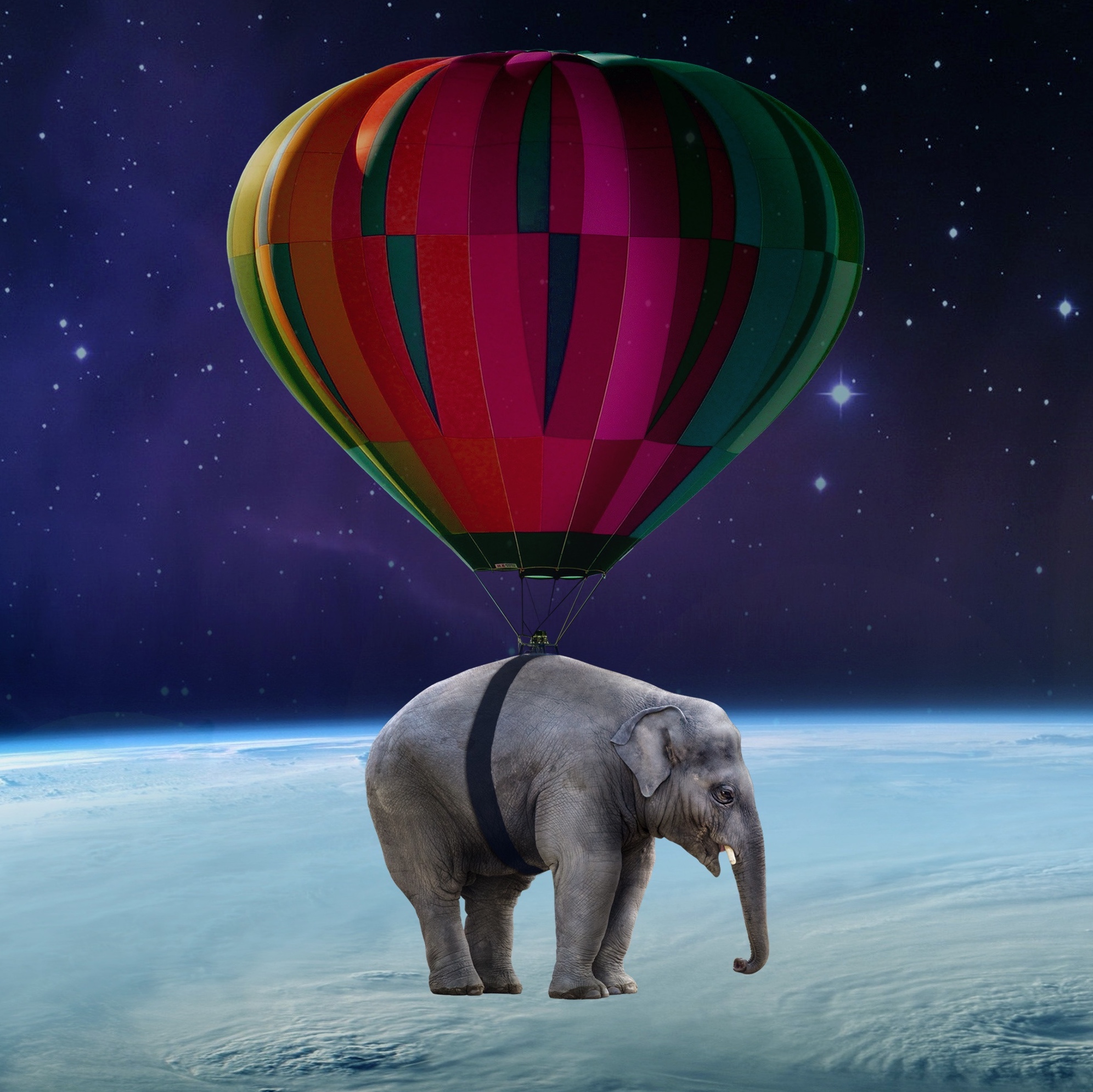 68831 Bildschirmschoner und Hintergrundbilder Elefant auf Ihrem Telefon. Laden Sie universum, verschiedenes, sonstige, luftballon, ballon, elefant, elefanten, schwerelosigkeit Bilder kostenlos herunter