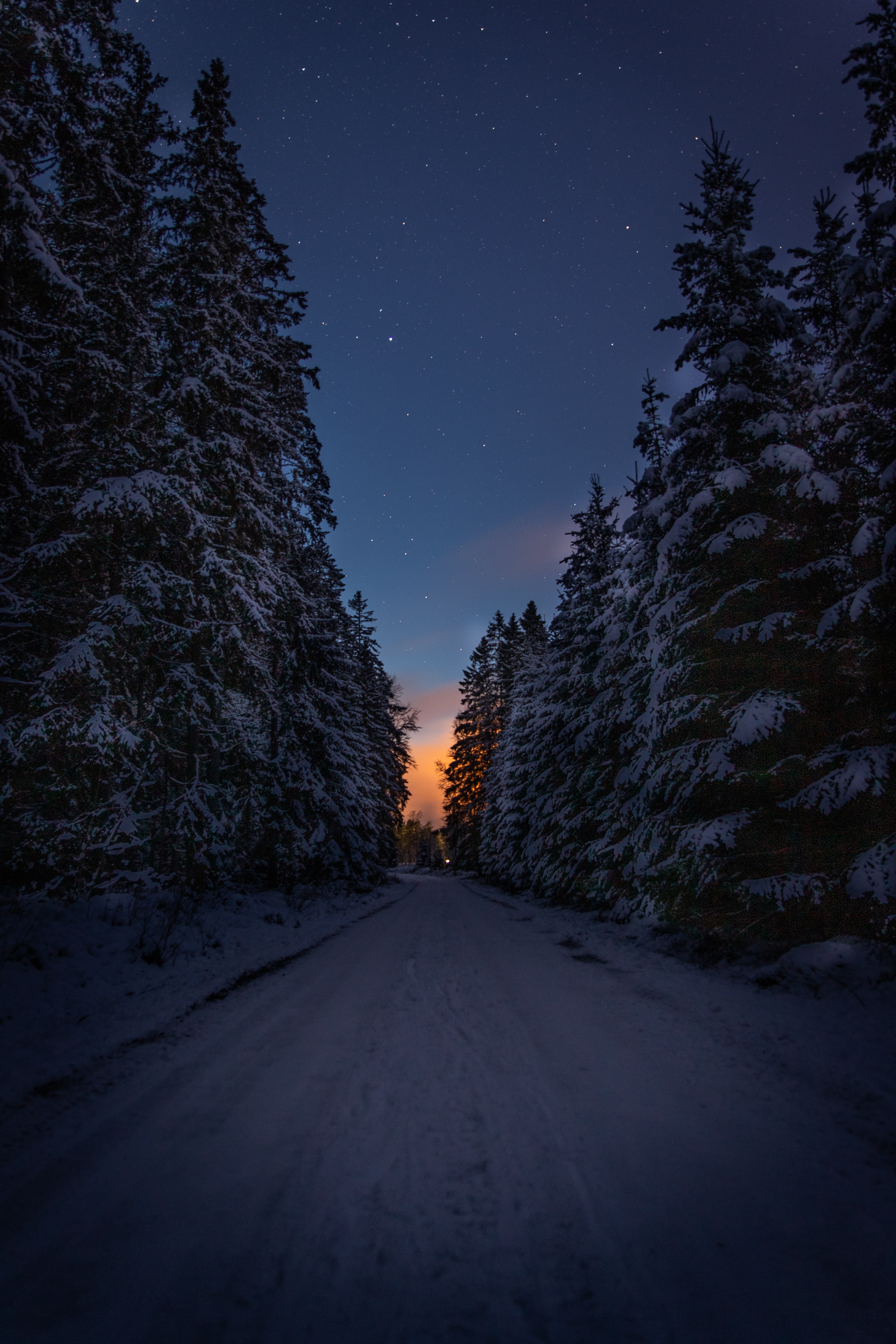 winter, dusk, road, trees, dark, twilight, snow 4K