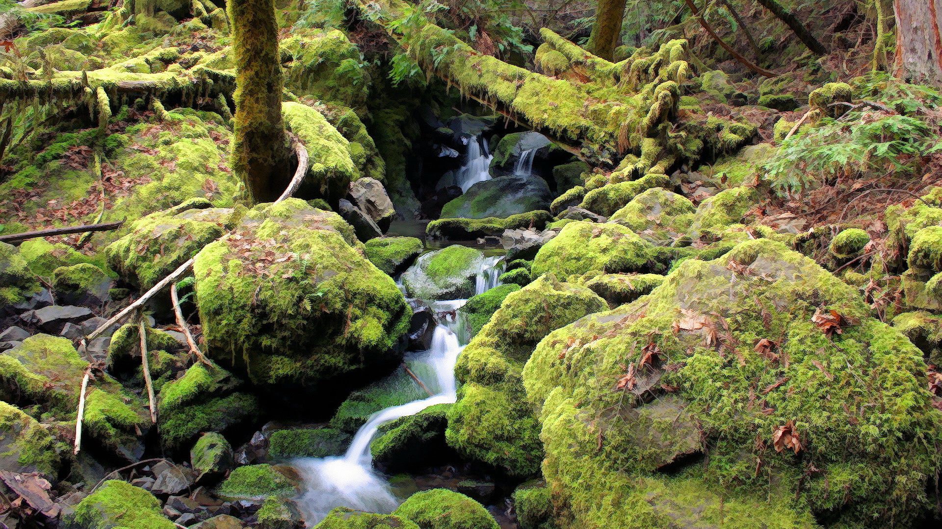 nature, stones, forest, moss, creek, brook wallpaper for mobile