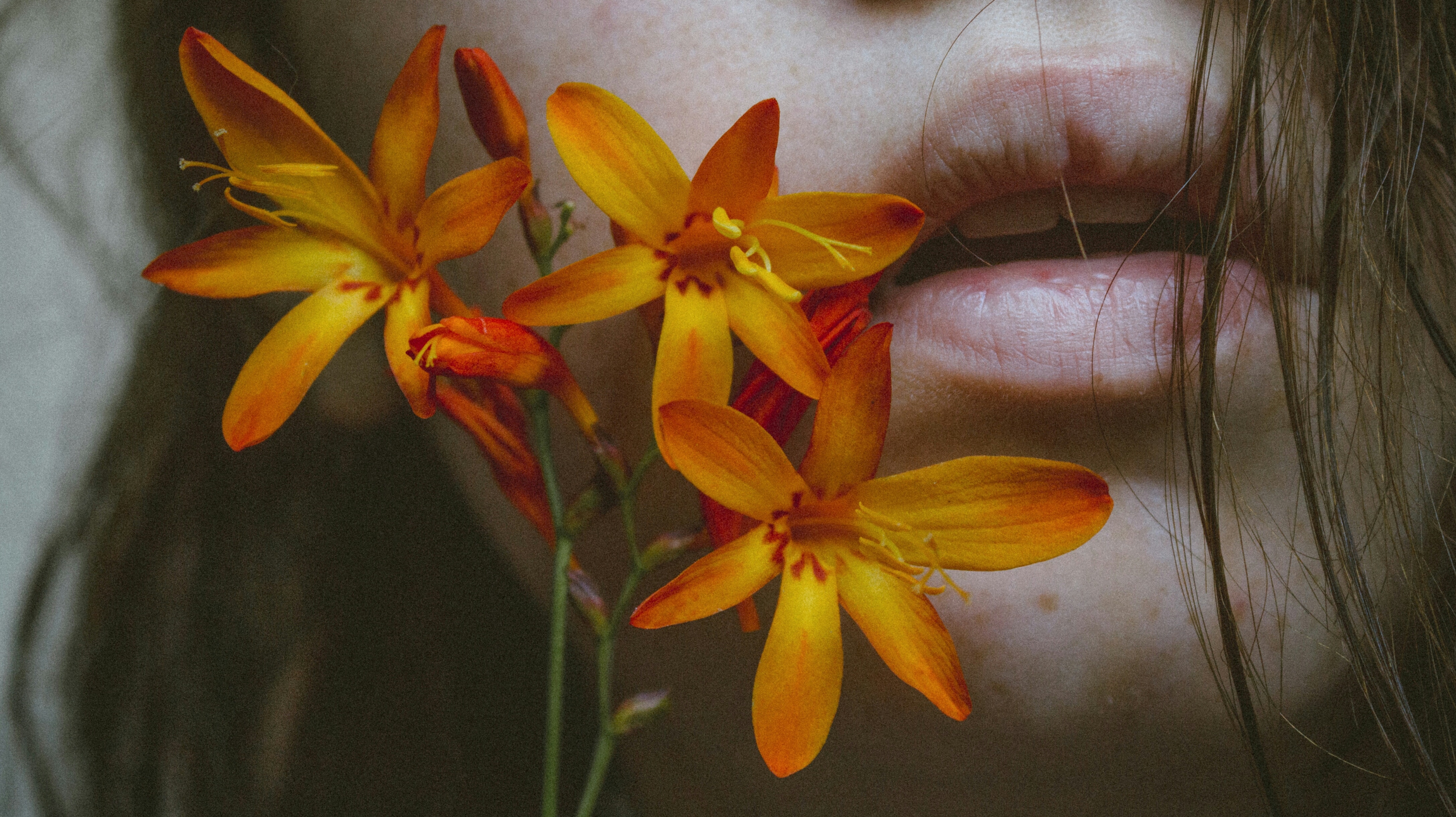 flower, miscellaneous, lips, sacrament home screen for smartphone