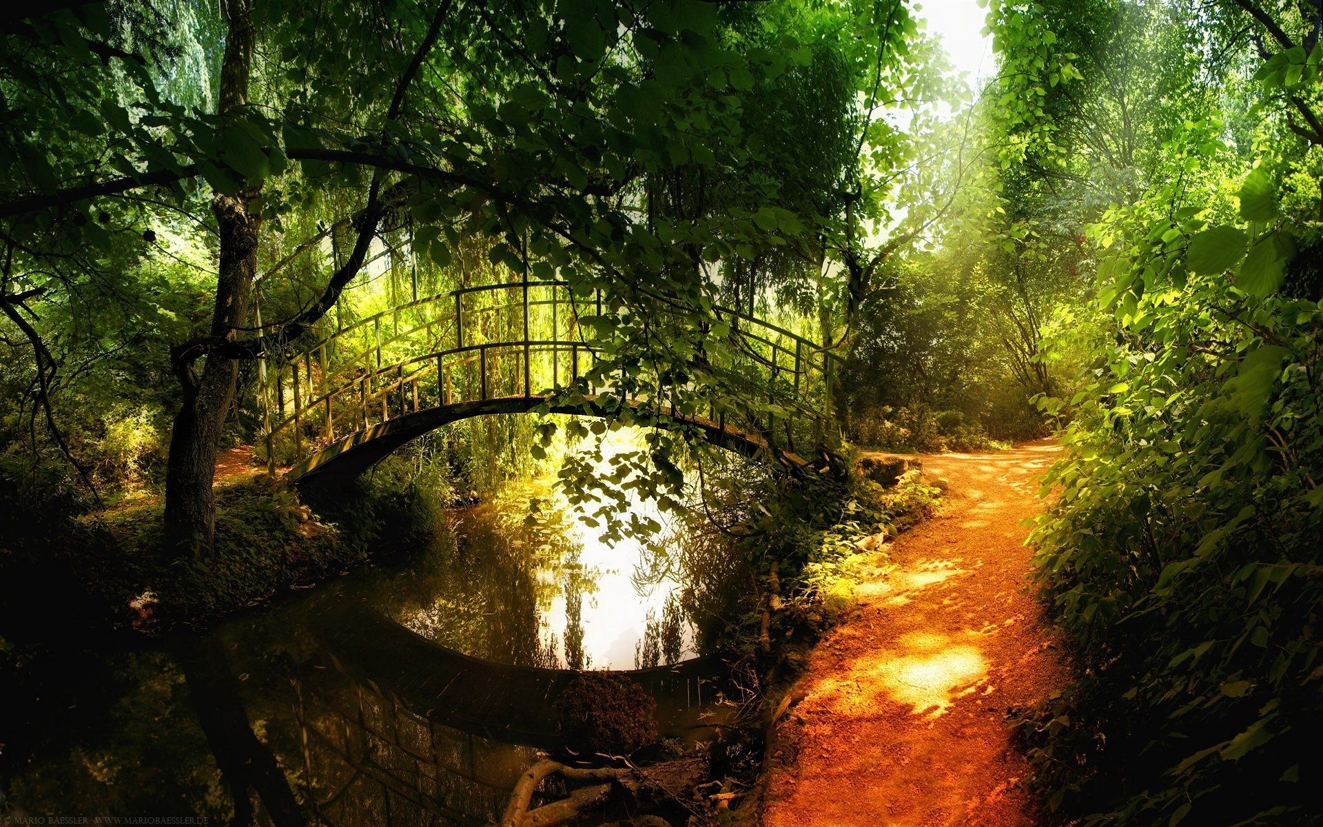Trail bridge, gaps, clearances, nature 8k Backgrounds