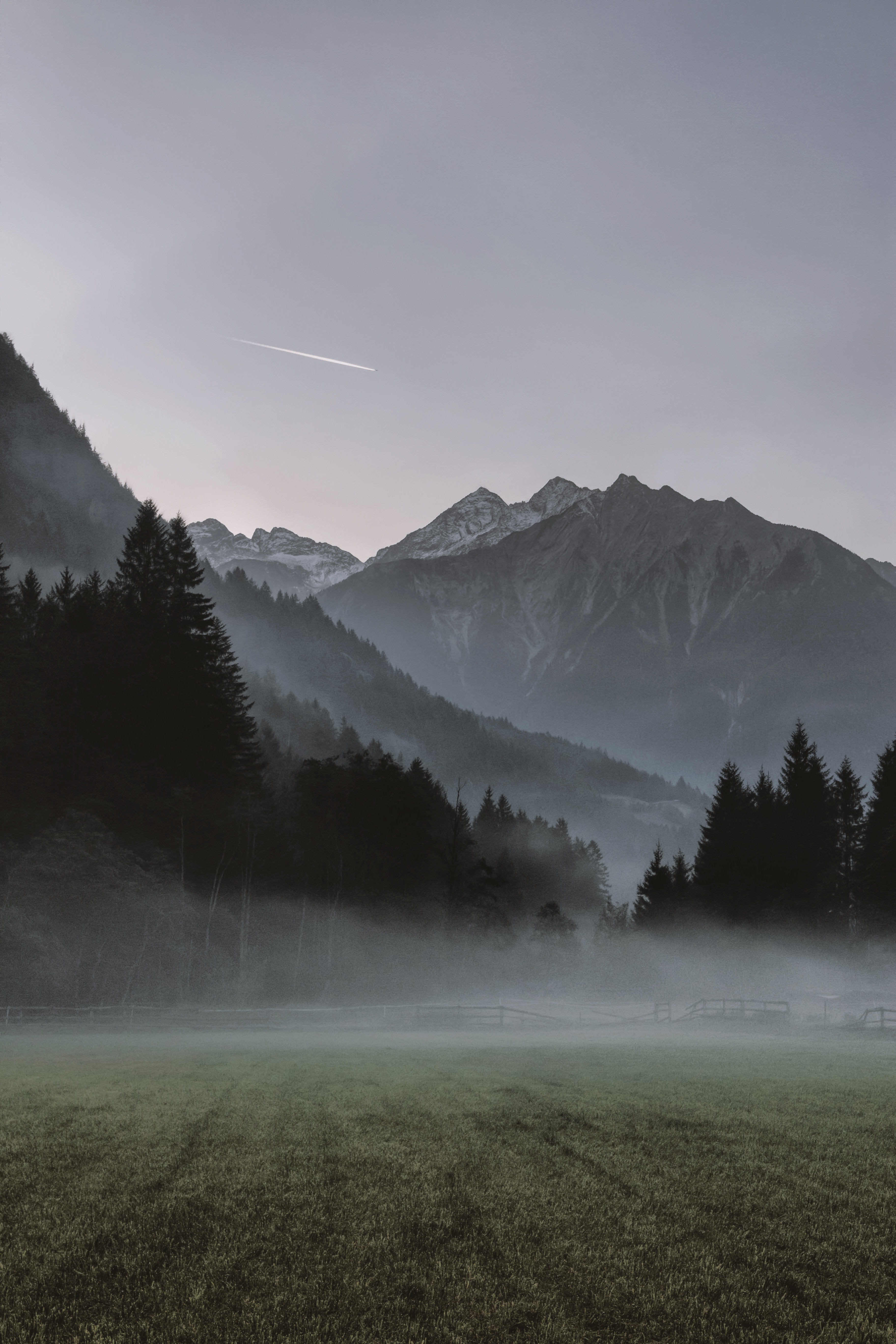 108361 скачать обои туман, горы, природа, деревья - заставки и картинки бесплатно