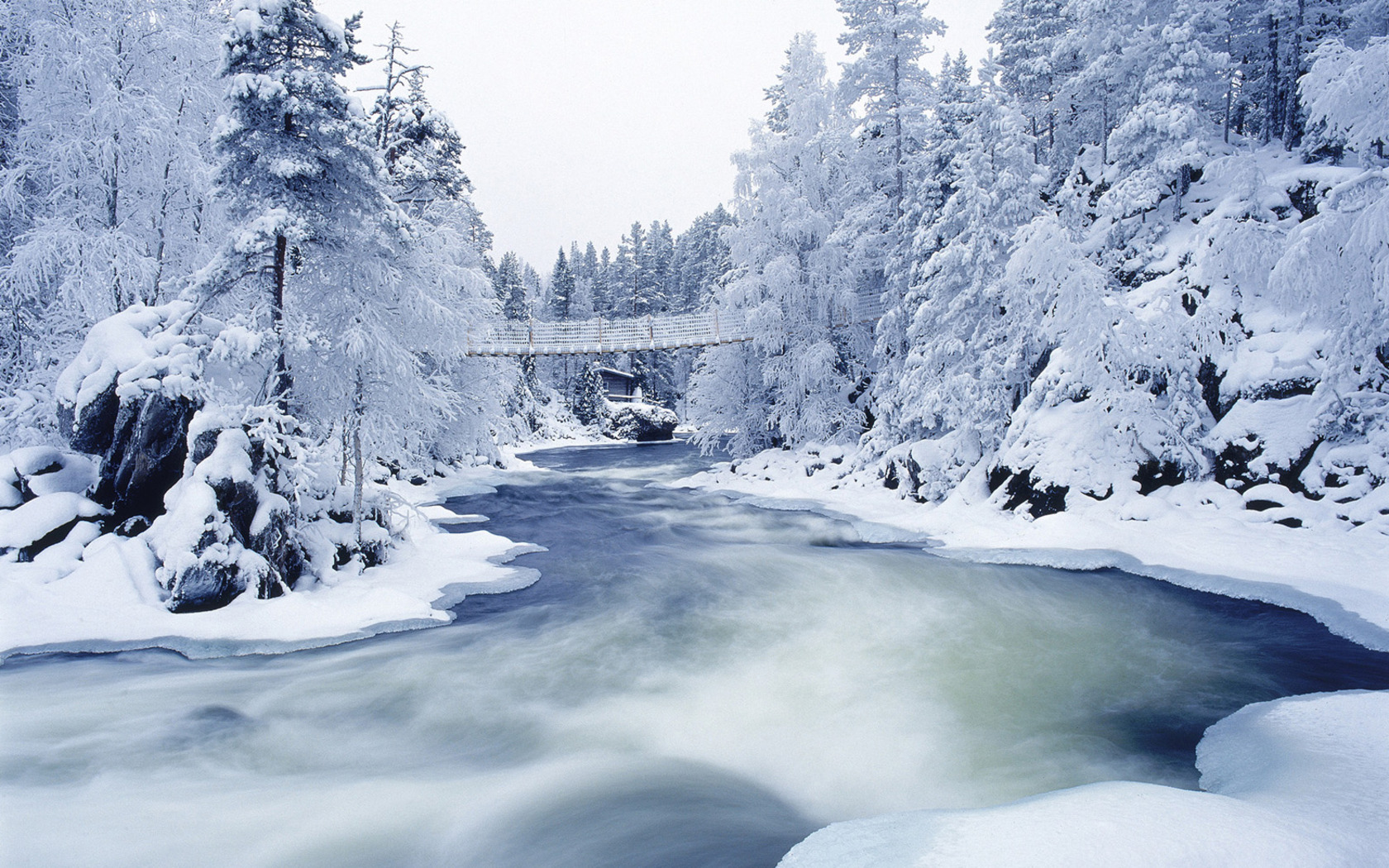 река зимой красивые