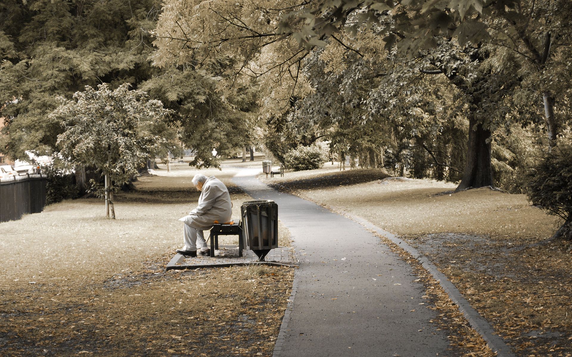 trees, miscellanea, miscellaneous, sit, park, human, person, loneliness, bench, elderly