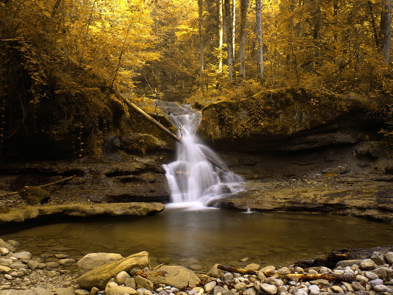 6805 下載圖片 景观, 河, 秋, 瀑布, 黄色 - 免費壁紙和屏保