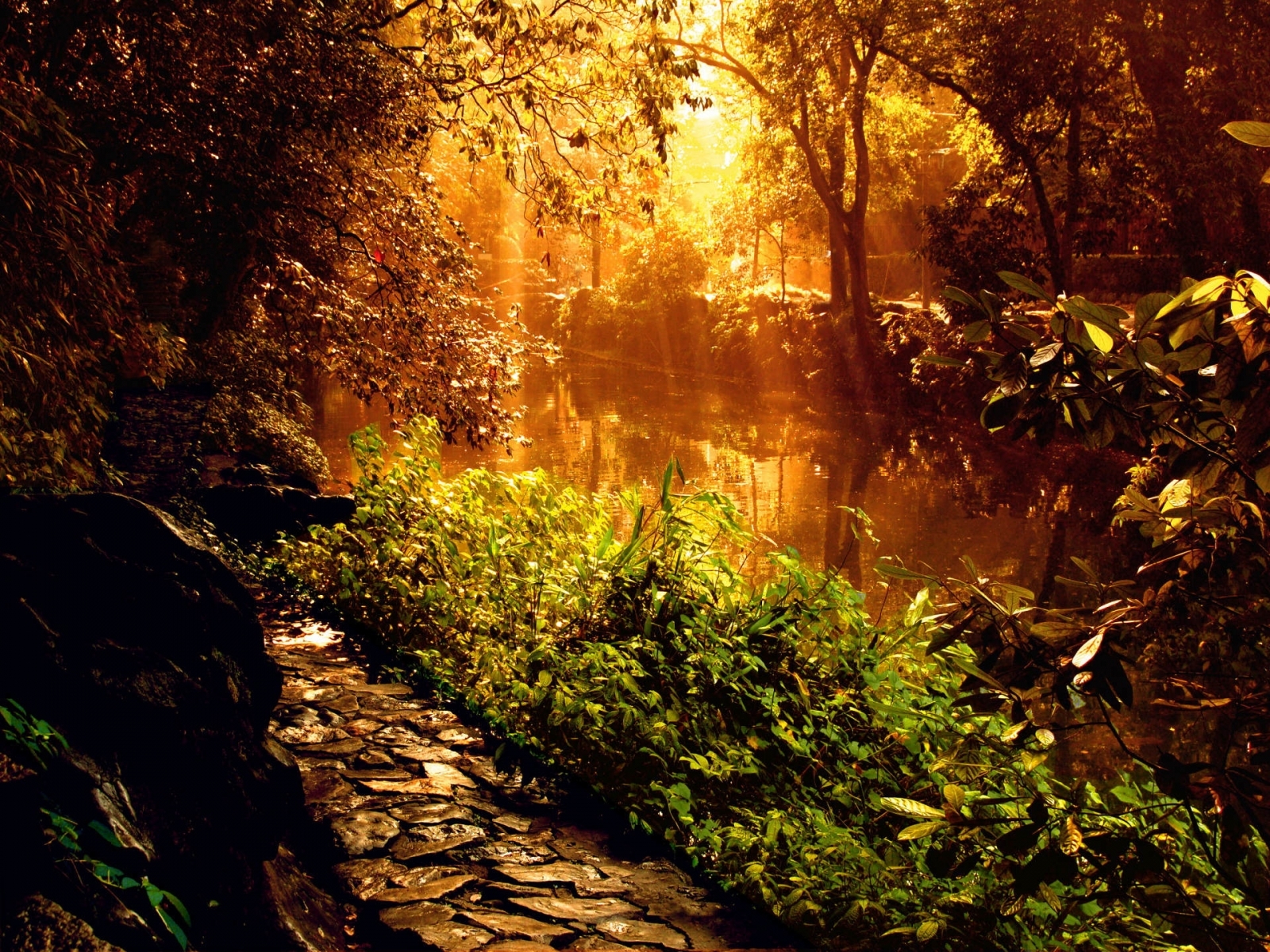 Laden Sie das Flüsse, Pflanzen, Landschaft, Wasser-Bild kostenlos auf Ihren PC-Desktop herunter