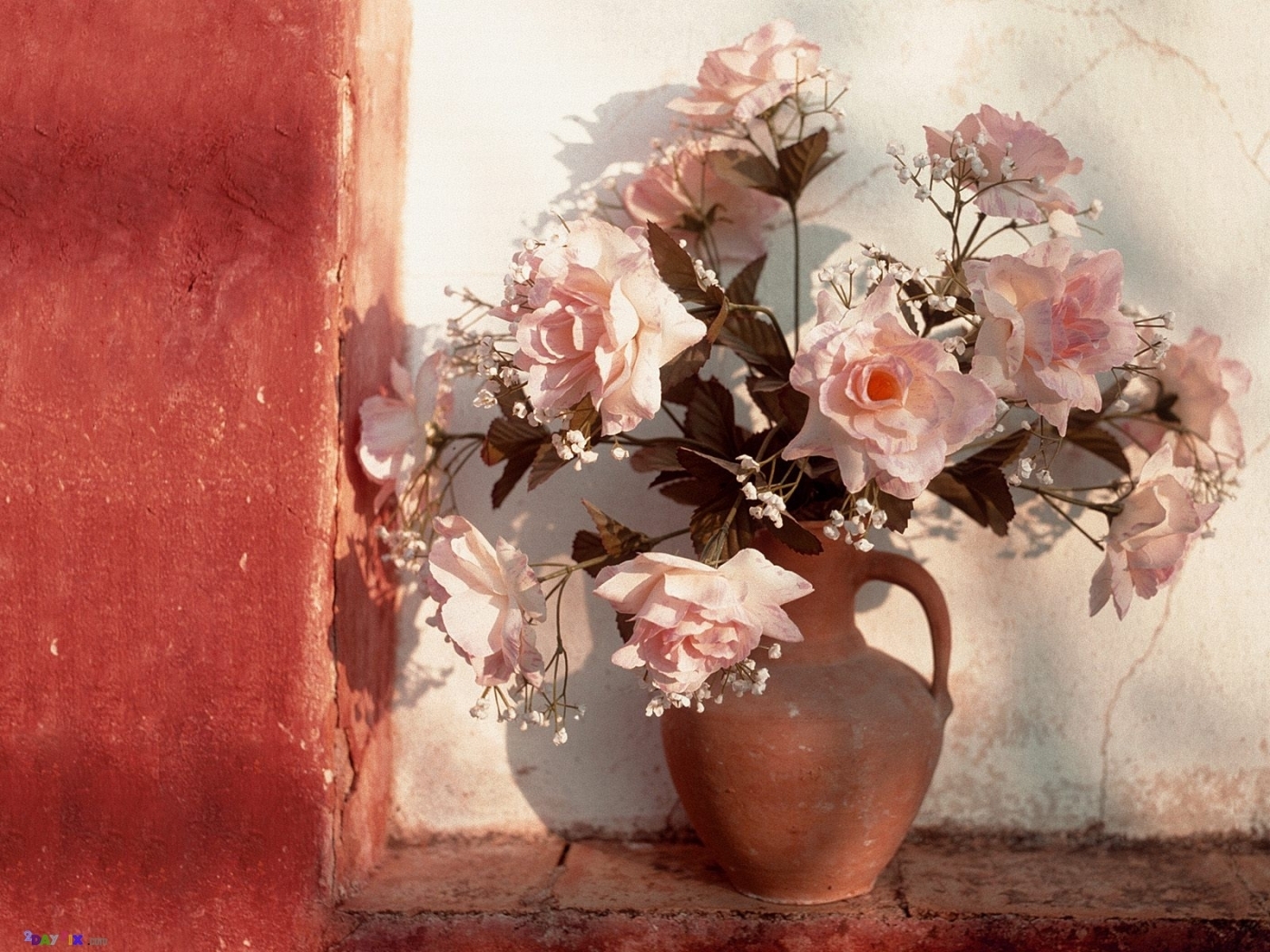 plants, flowers, objects HD wallpaper