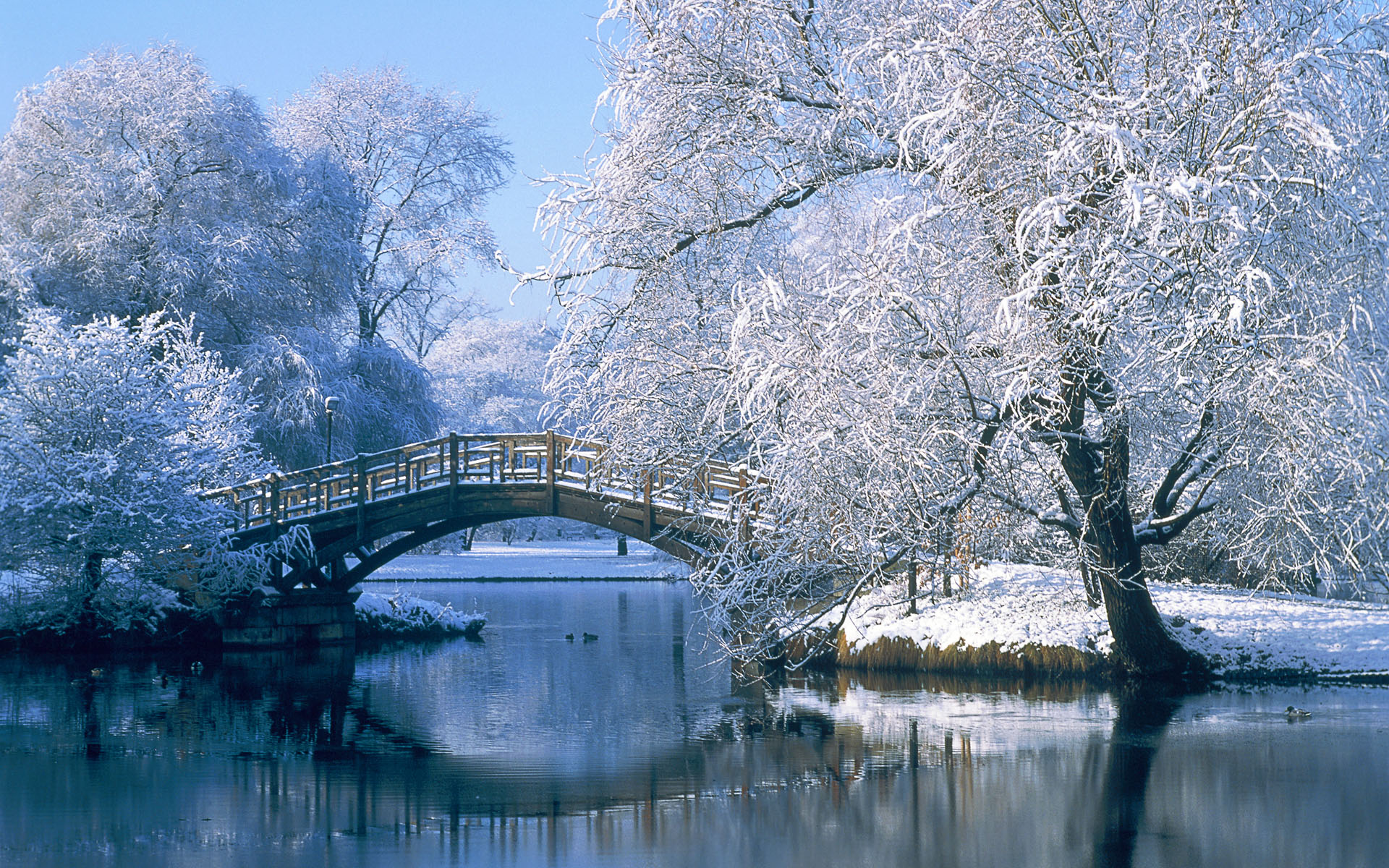 photography, winter, landscape, snow, reflection, water, bridge, pond, tree UHD