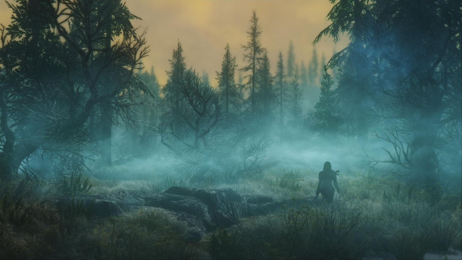 The Elder Scrolls 5: Skyrim лес