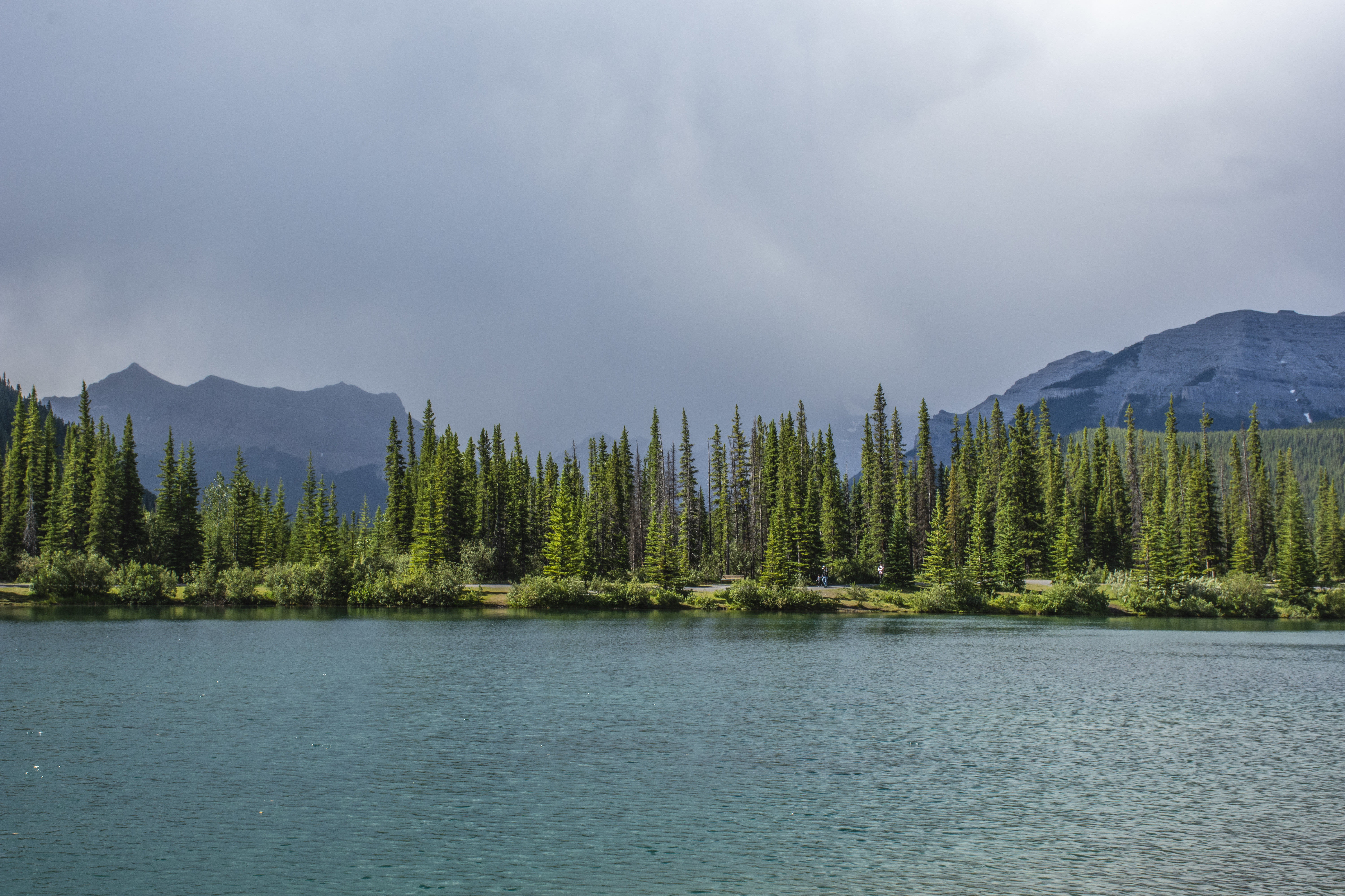 lake, nature, trees, sky, mountains, spruce, fir