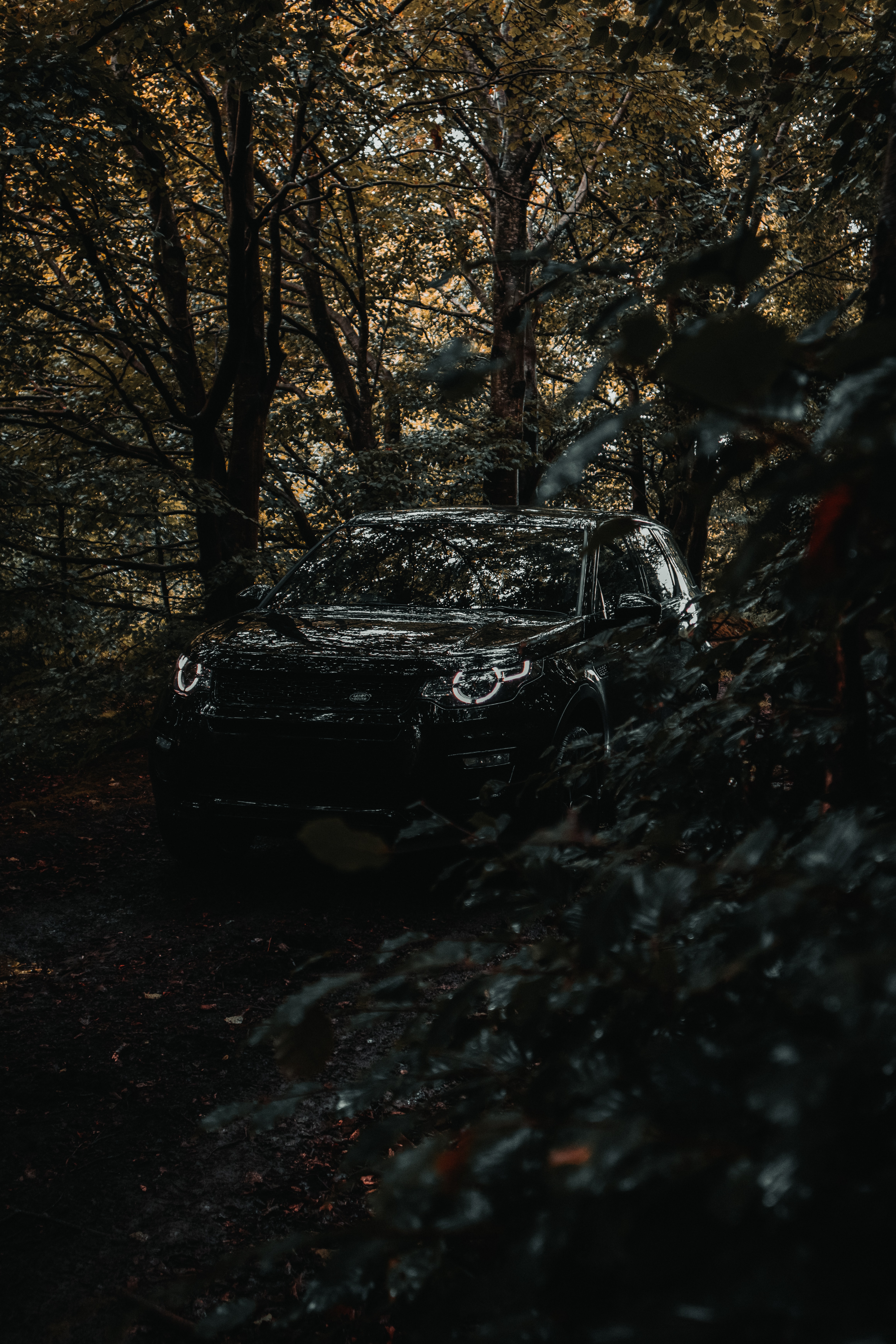 forest, land rover, cars, car, suv, land rover discovery 3 HD wallpaper