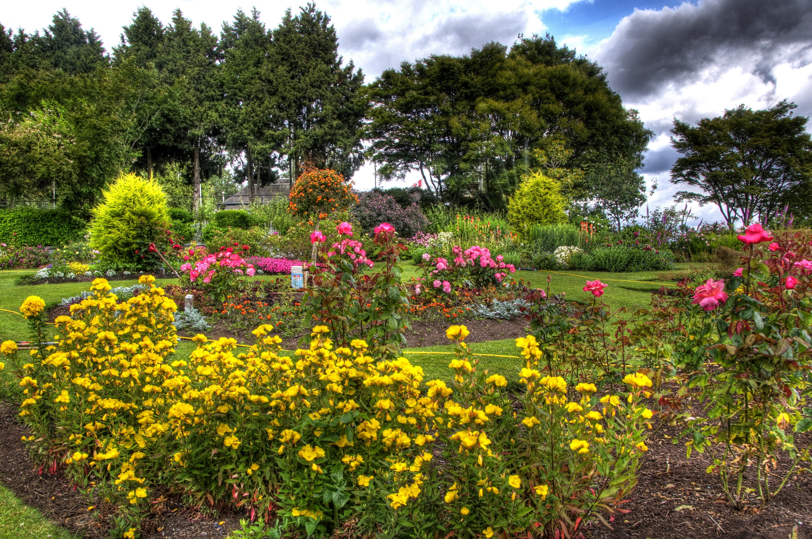 手機的152076屏保和壁紙花园。 免費下載 树, 花卉, 黄色, 玫瑰 圖片