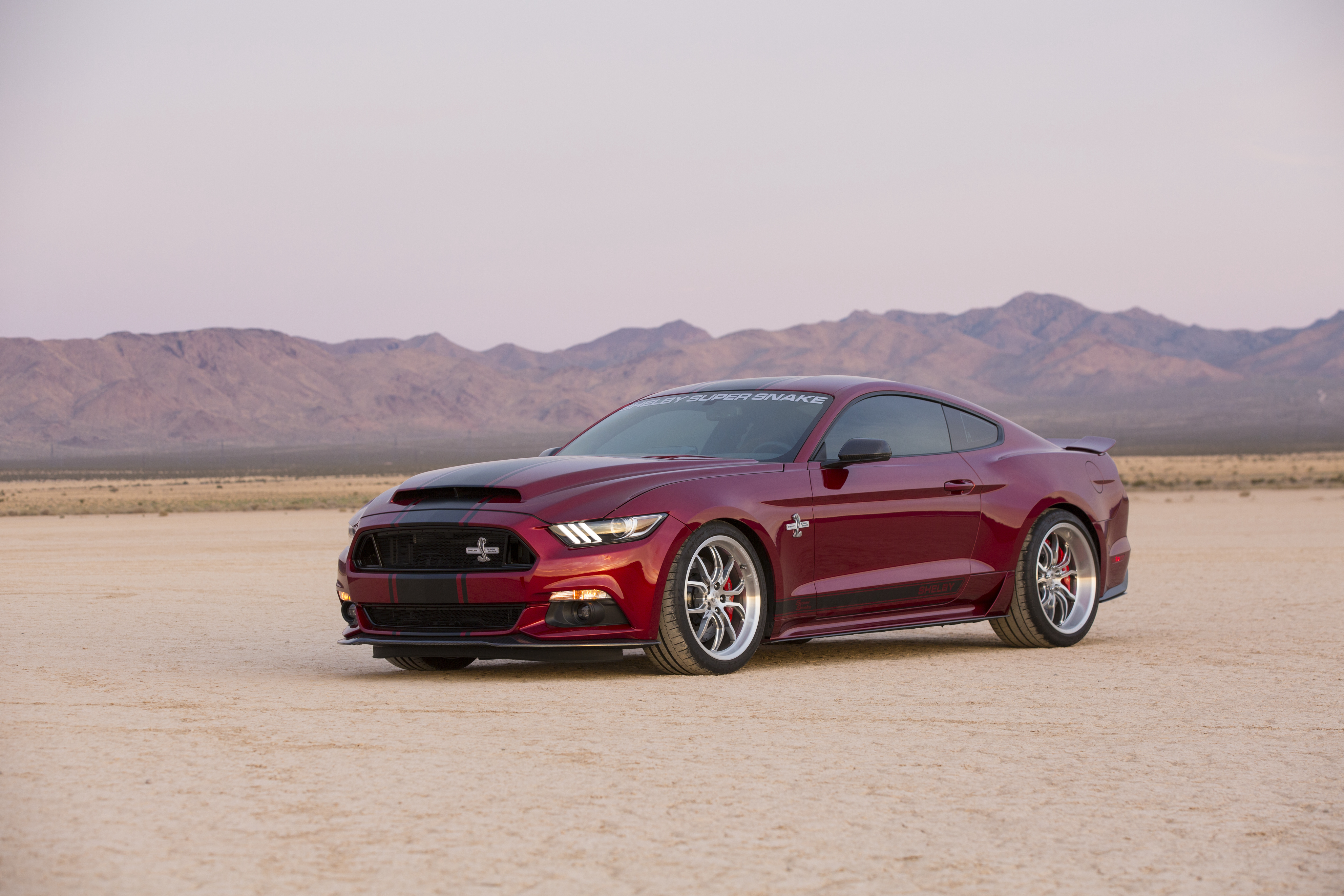 155241 Screensavers and Wallpapers Shelby for phone. Download ford, mustang, cars, side view, shelby pictures for free