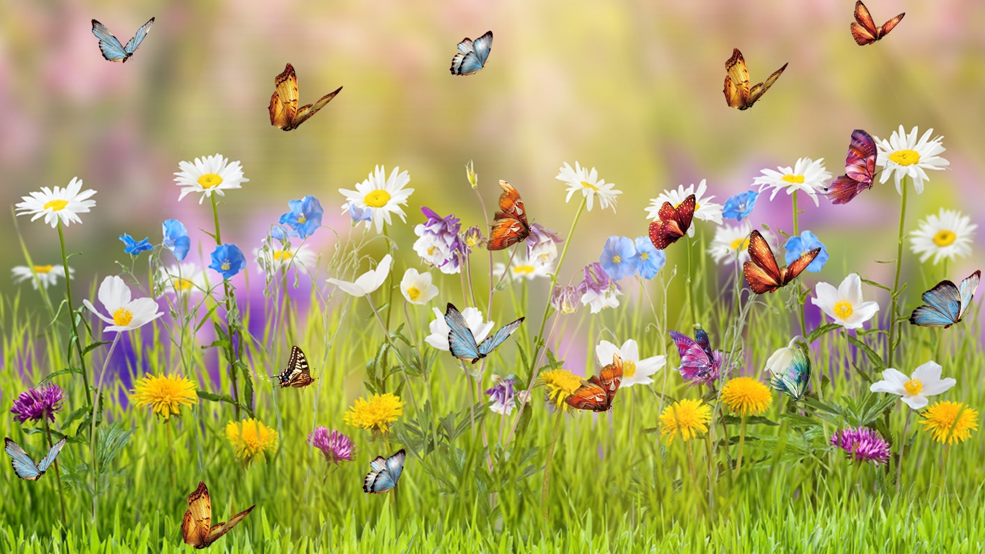 798515 免費下載壁紙 春季, 艺术, 蝴蝶, 丰富多彩的, 色彩, 花, 草, 草地 屏保和圖片