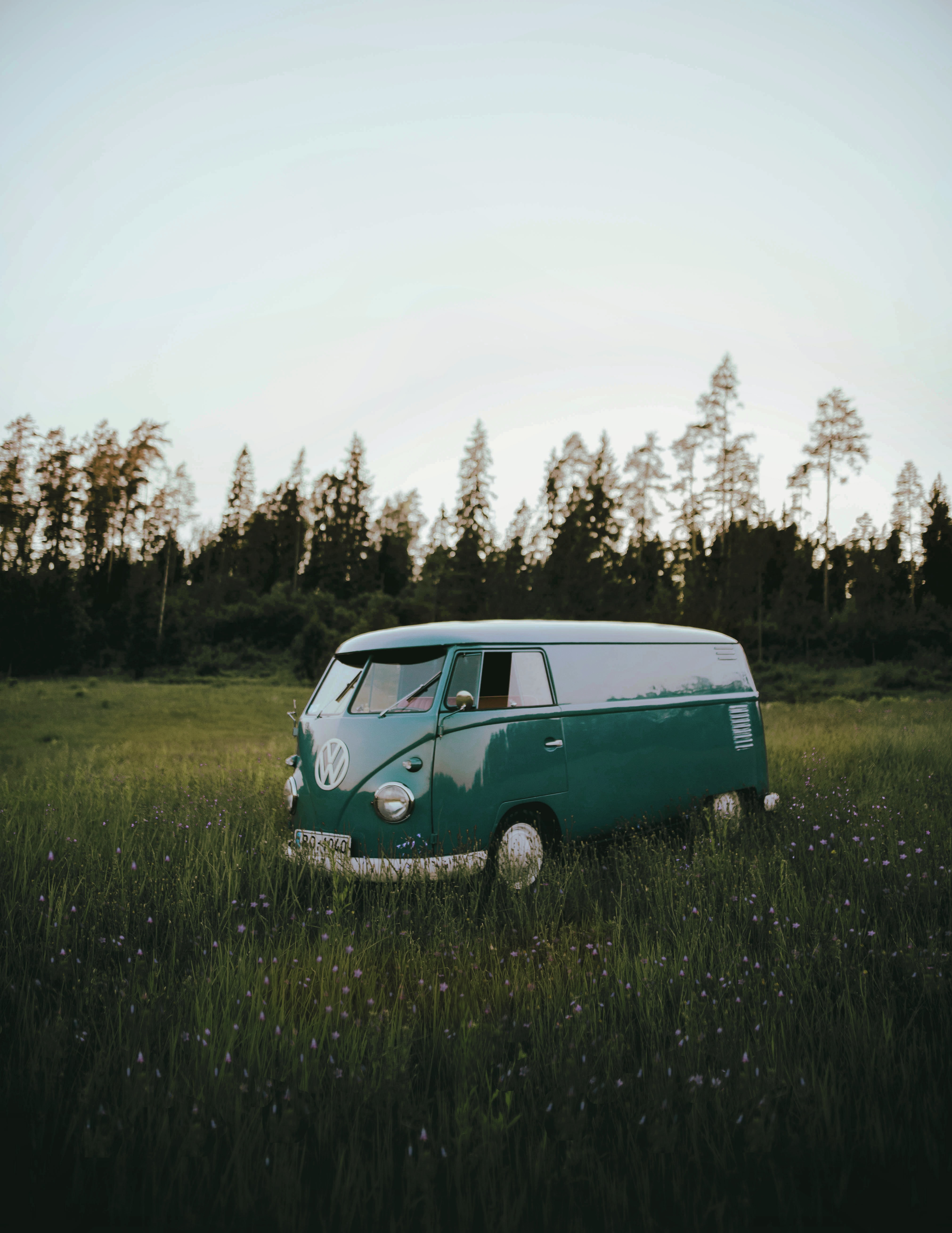 116375 download wallpaper grass, volkswagen, cars, car, field, machine, volkswagen t1 screensavers and pictures for free