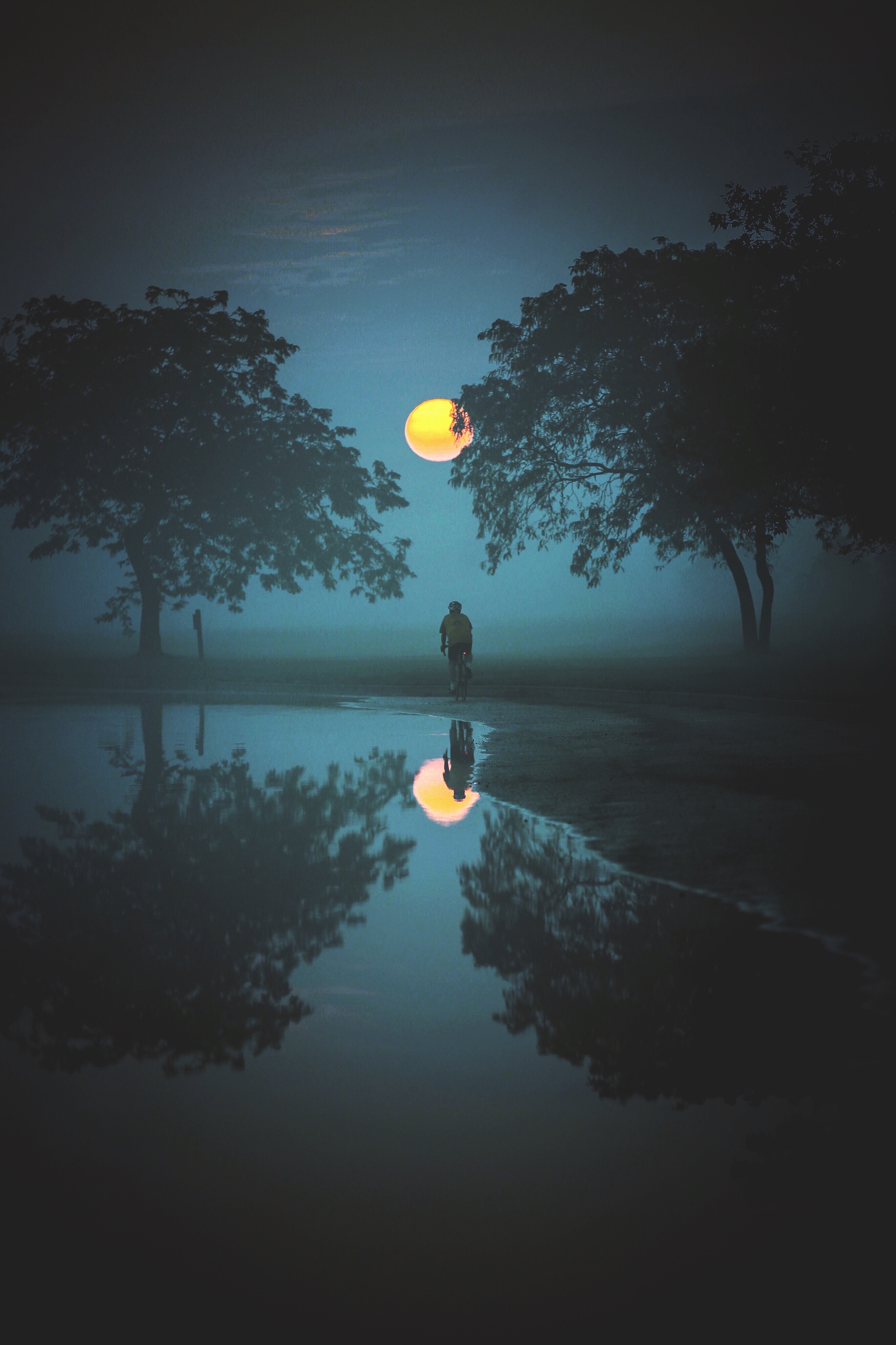 reflection, moon, nature, water, trees, fog, cyclist