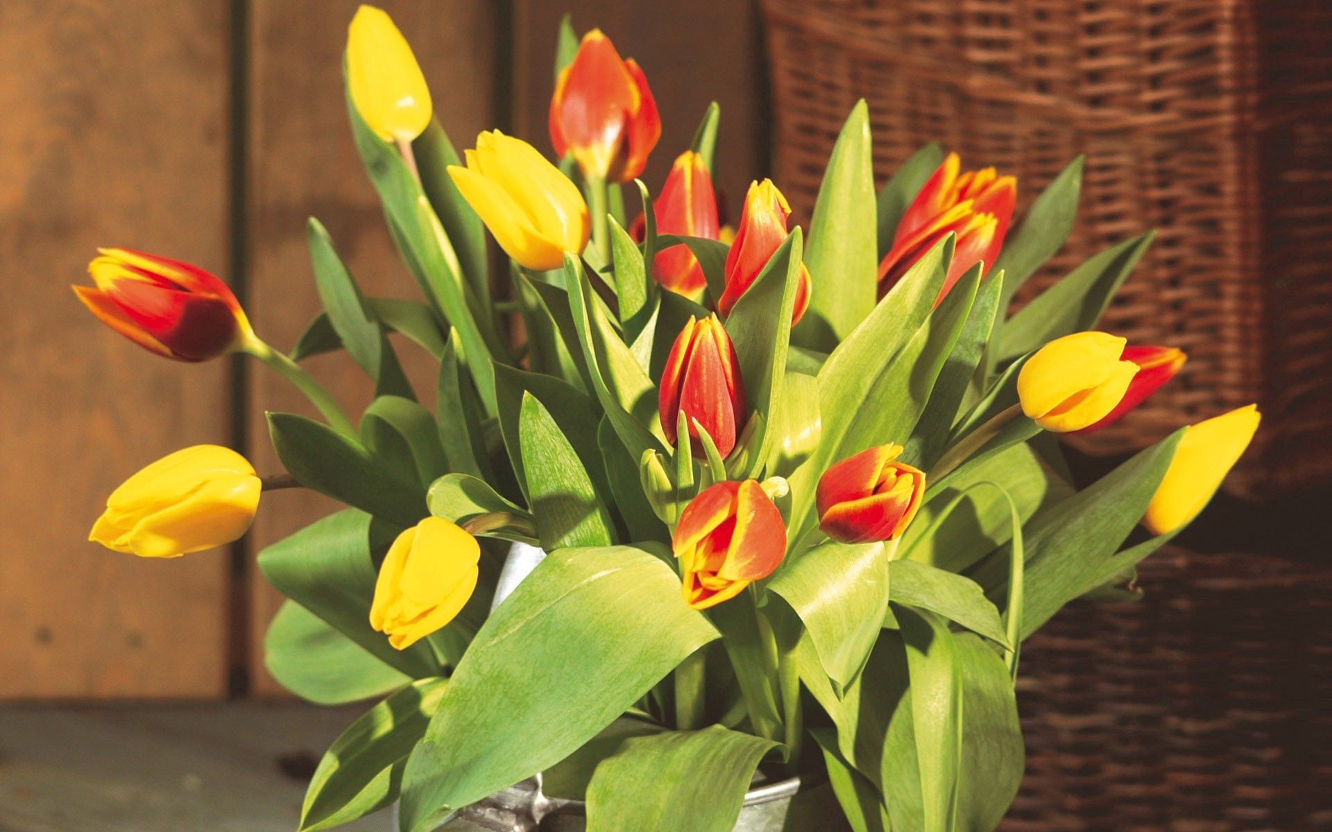 Handy-Wallpaper Blumen, Tulpen, Grüne, Grünen, Strauß, Bouquet, Knospen, Groß, Große, Eimer kostenlos herunterladen.