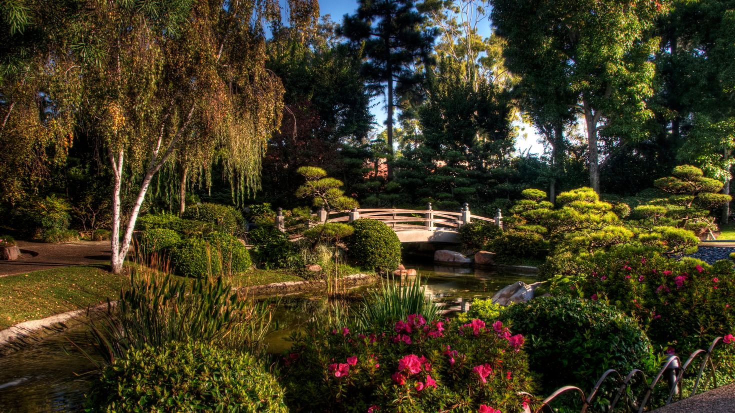 Растительное сообщество парк. Японский сад Эрл Бернс Миллер. Сад БАГЕНА В Калифорне. Красивый сад. Красивый парк.