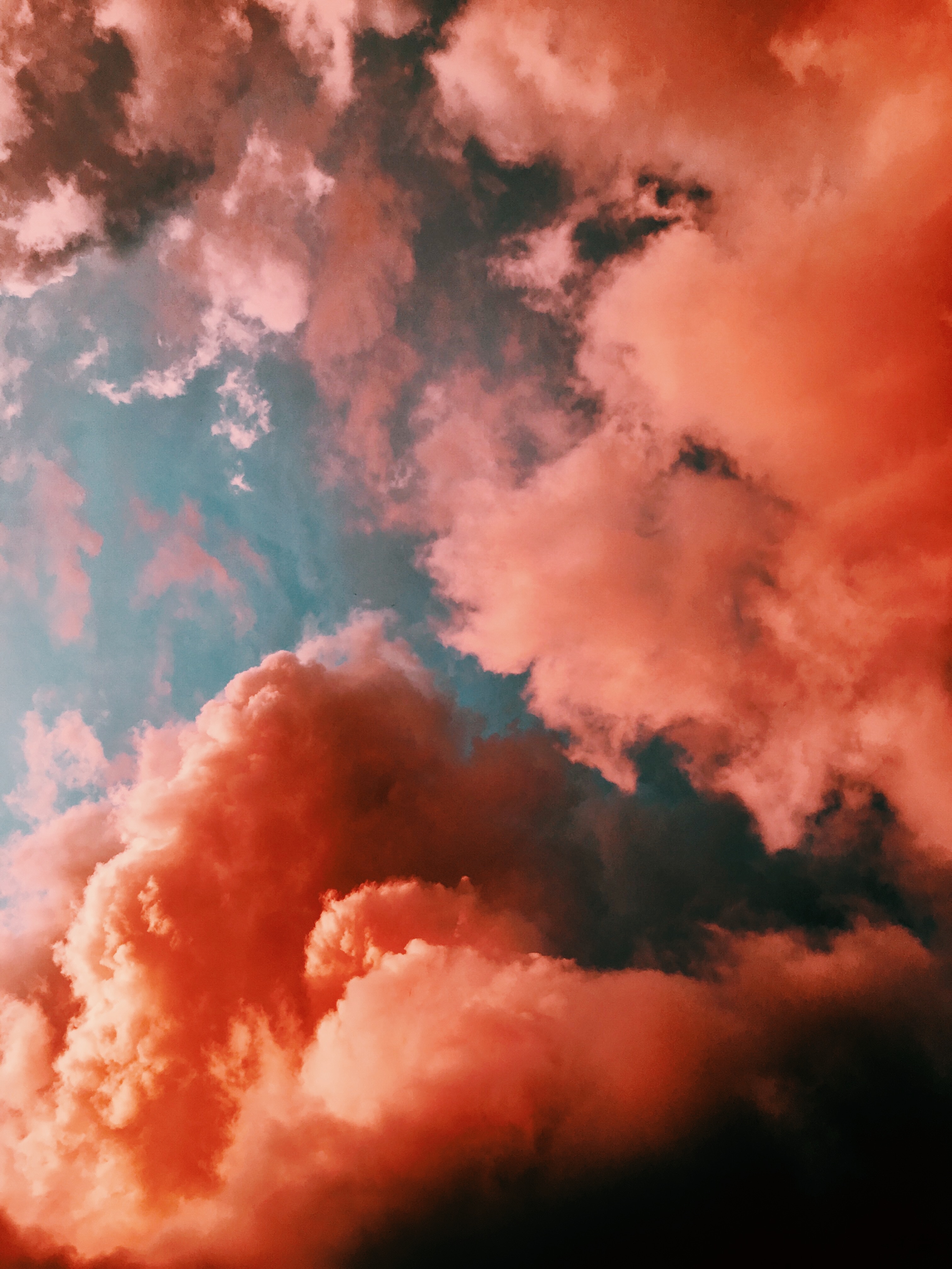 sky, clouds, porous, nature, pink Free Stock Photo