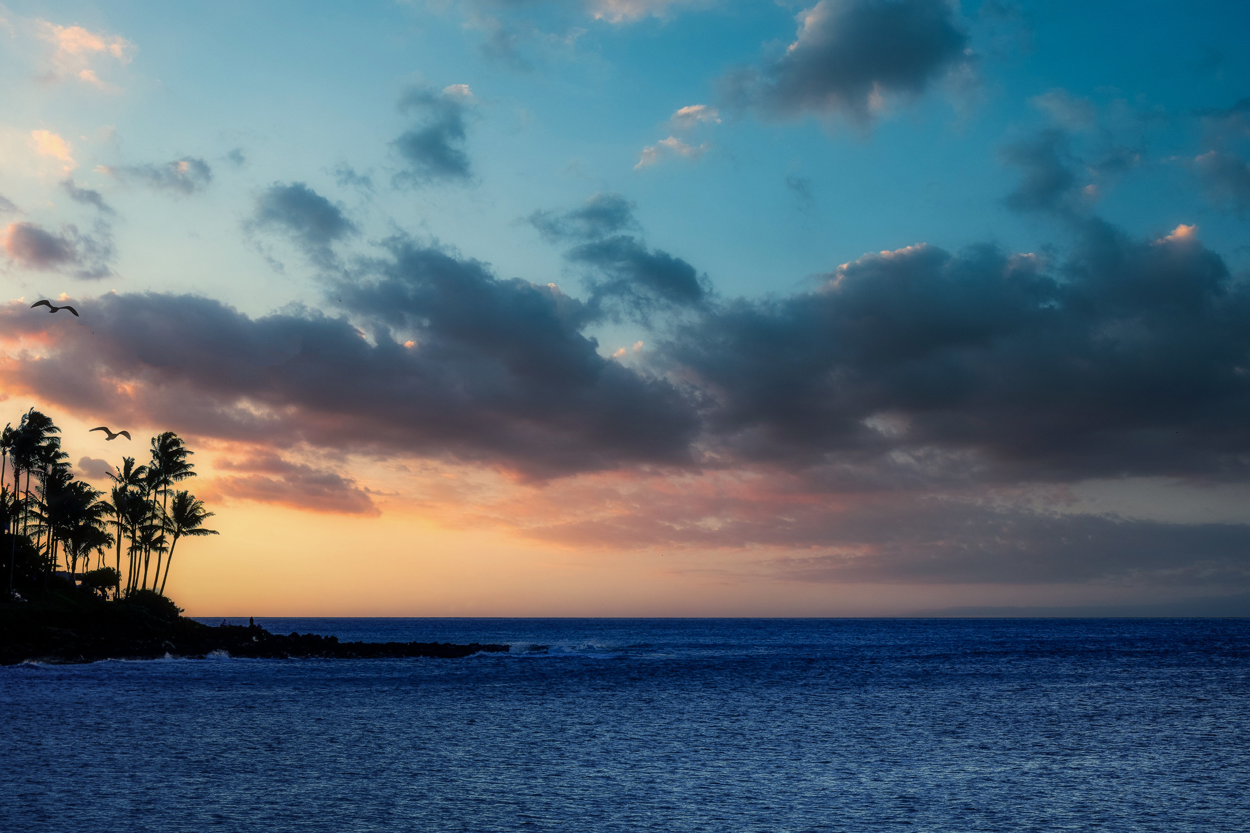 Laden Sie das Natur, Sea, Palme, Palm, Die Insel, Insel-Bild kostenlos auf Ihren PC-Desktop herunter