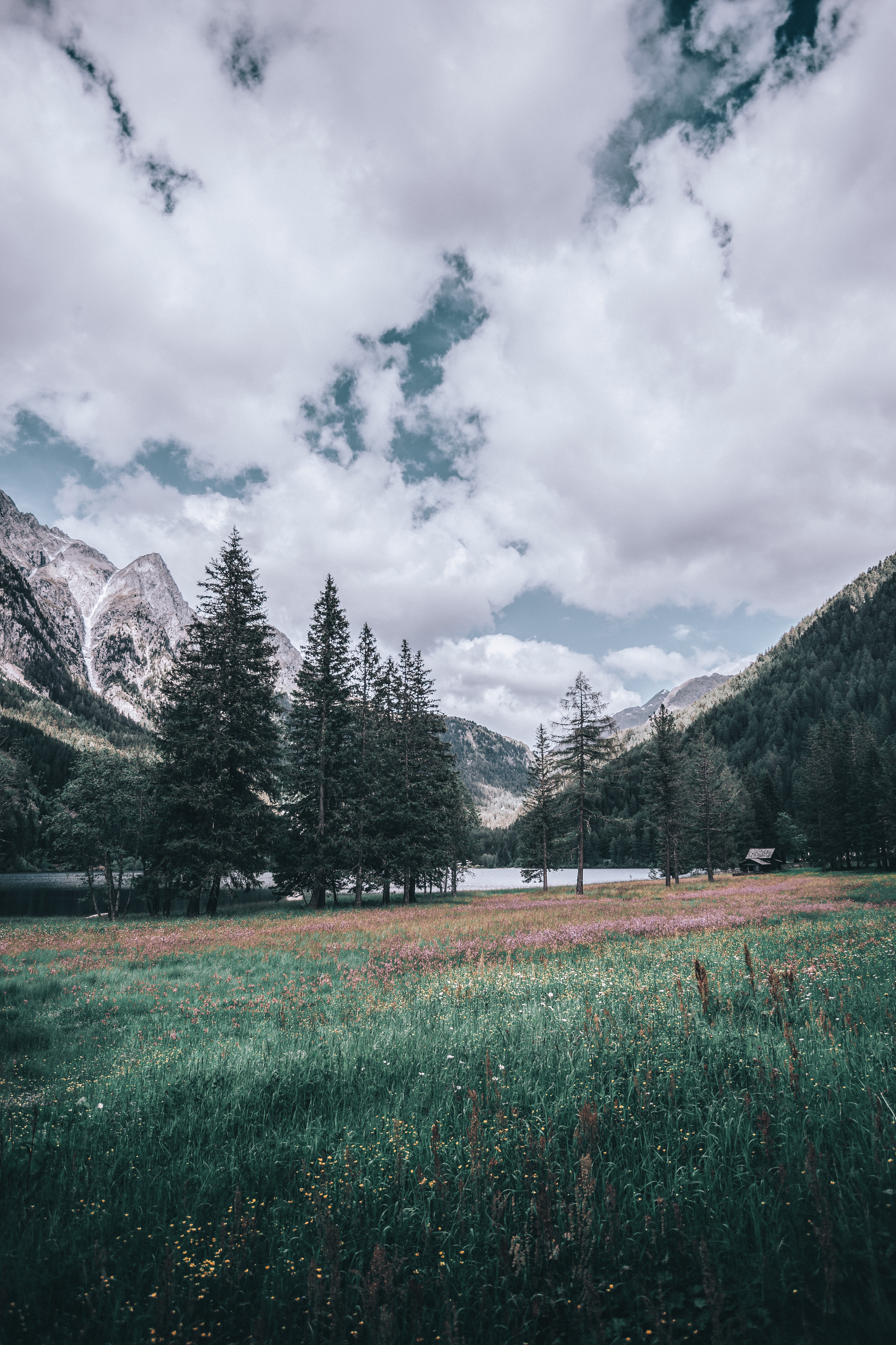 お使いの携帯電話の151362スクリーンセーバーと壁紙木。 自然, イタリア, 風景, 山脈の写真を無料でダウンロード