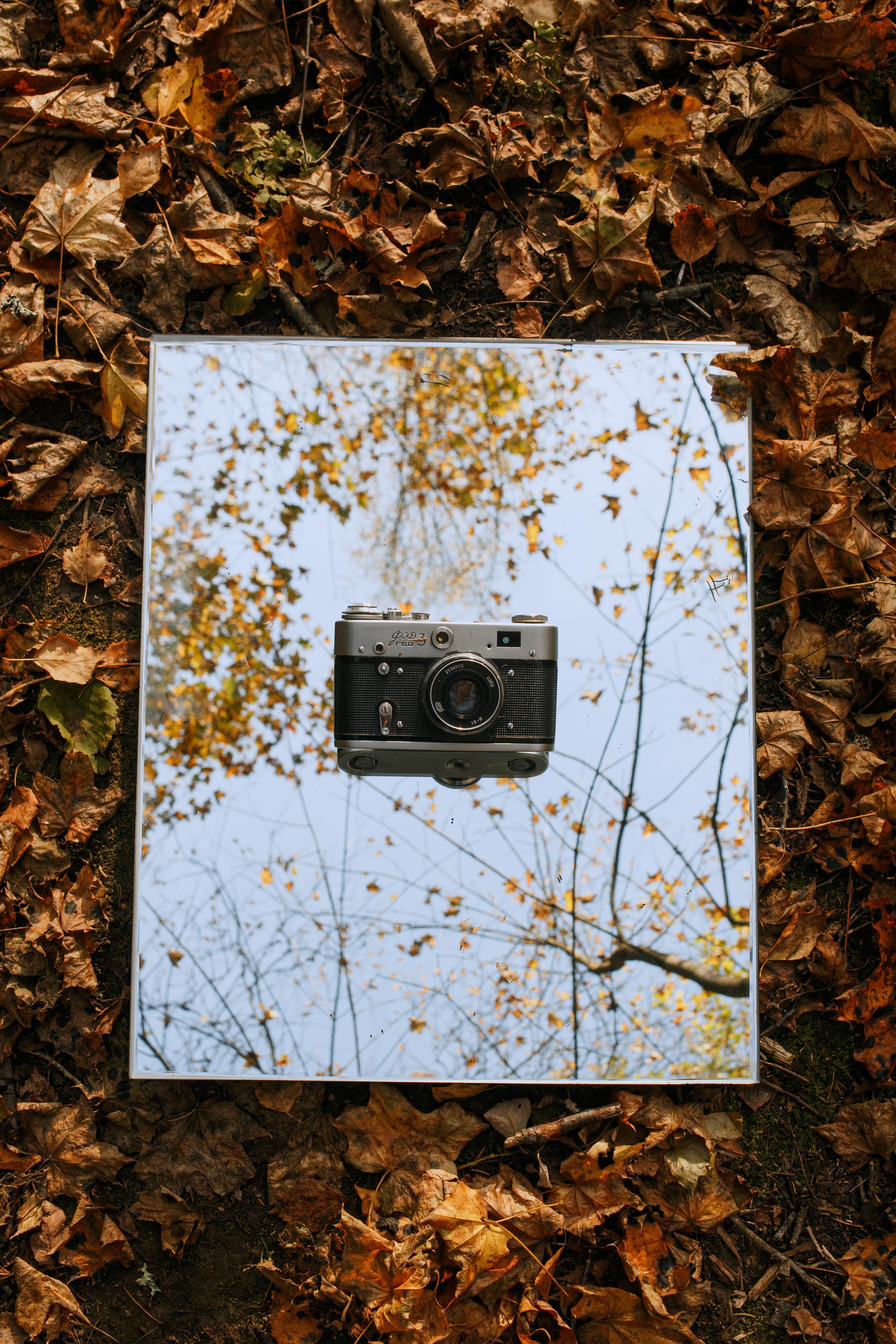 leaves, camera, vintage, autumn HD Wallpaper for Phone