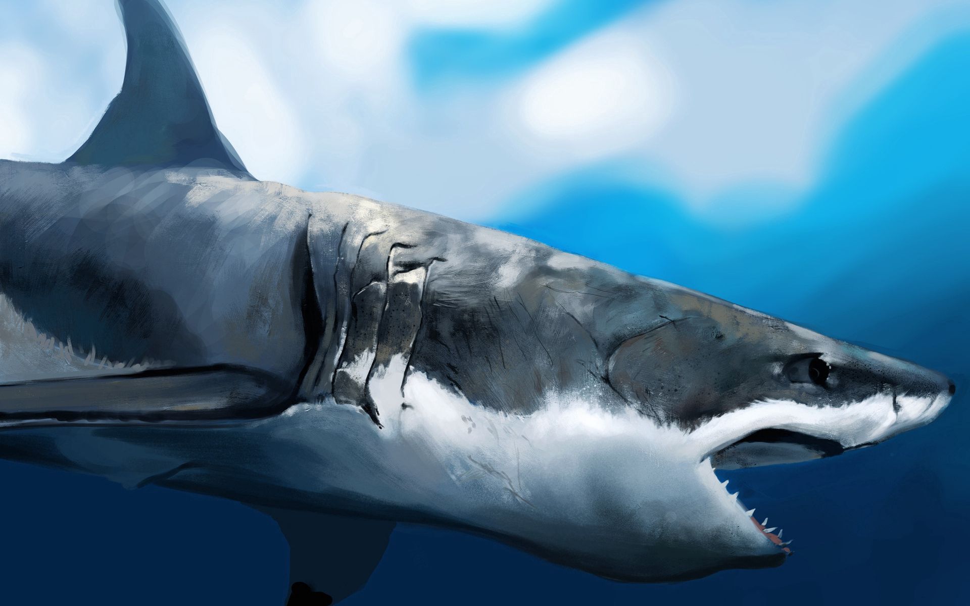 Cool Backgrounds art, shark, to fall, animals Under Water