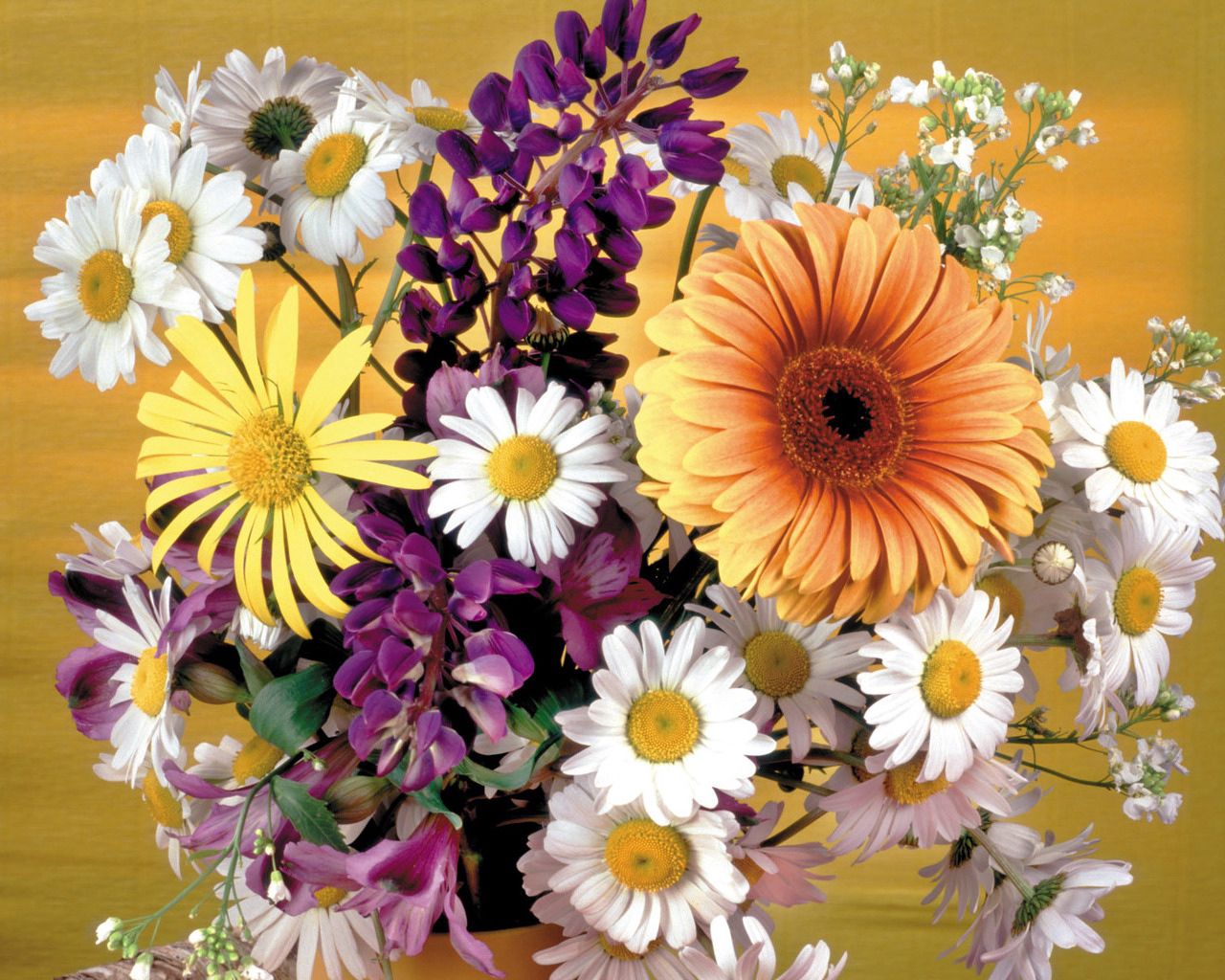 125913 download wallpaper flowers, camomile, gerberas, registration, typography, beauty, bouquet, vase screensavers and pictures for free