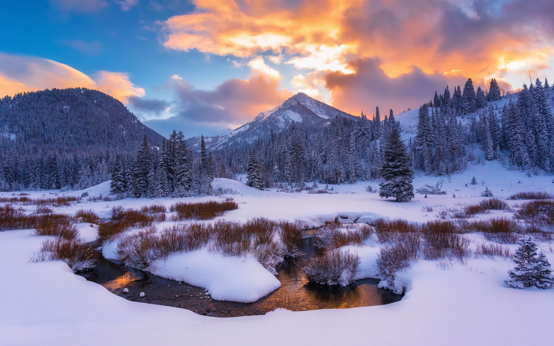 Природа в горах зимой