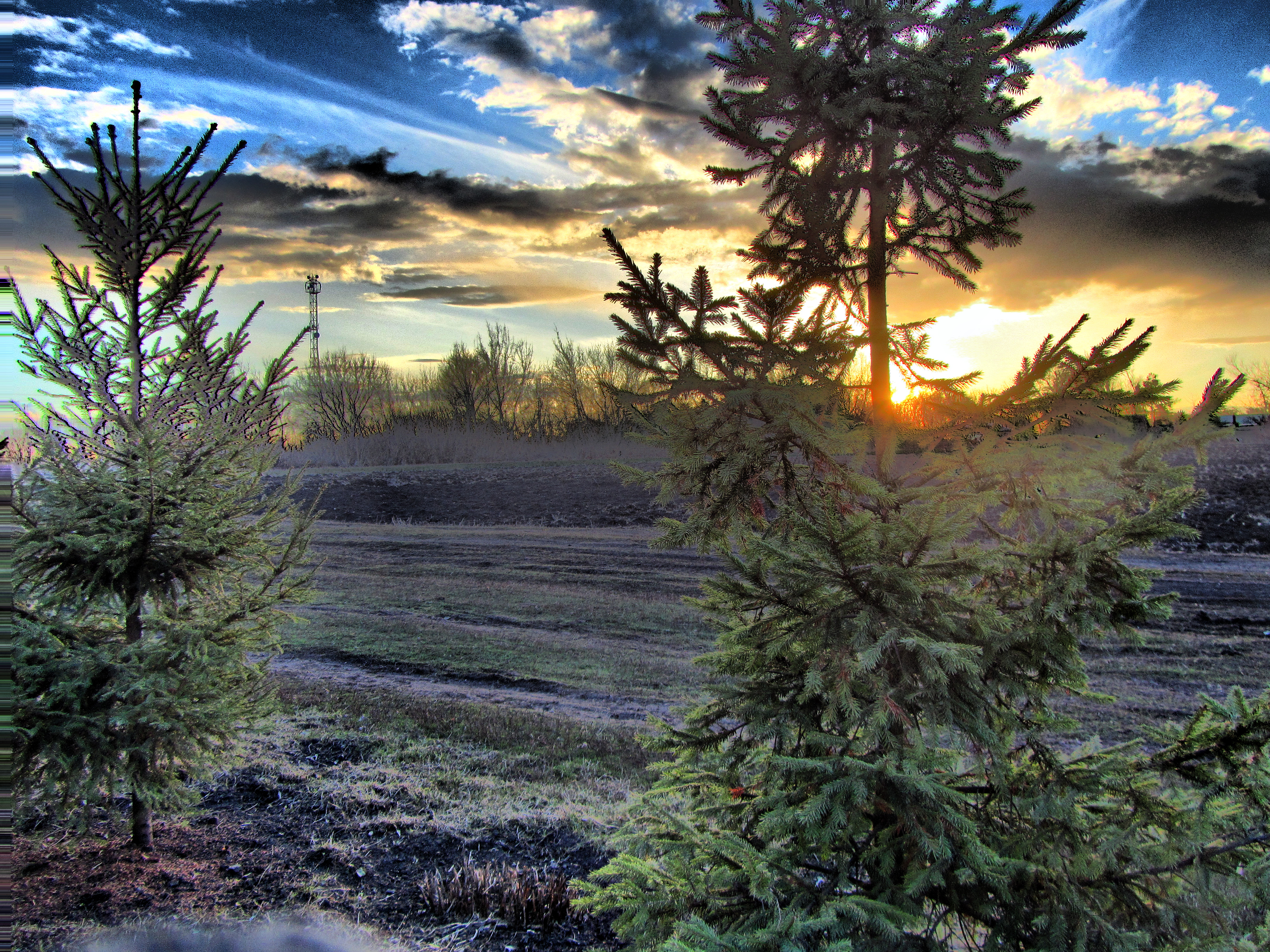 Hdr фото в телефоне