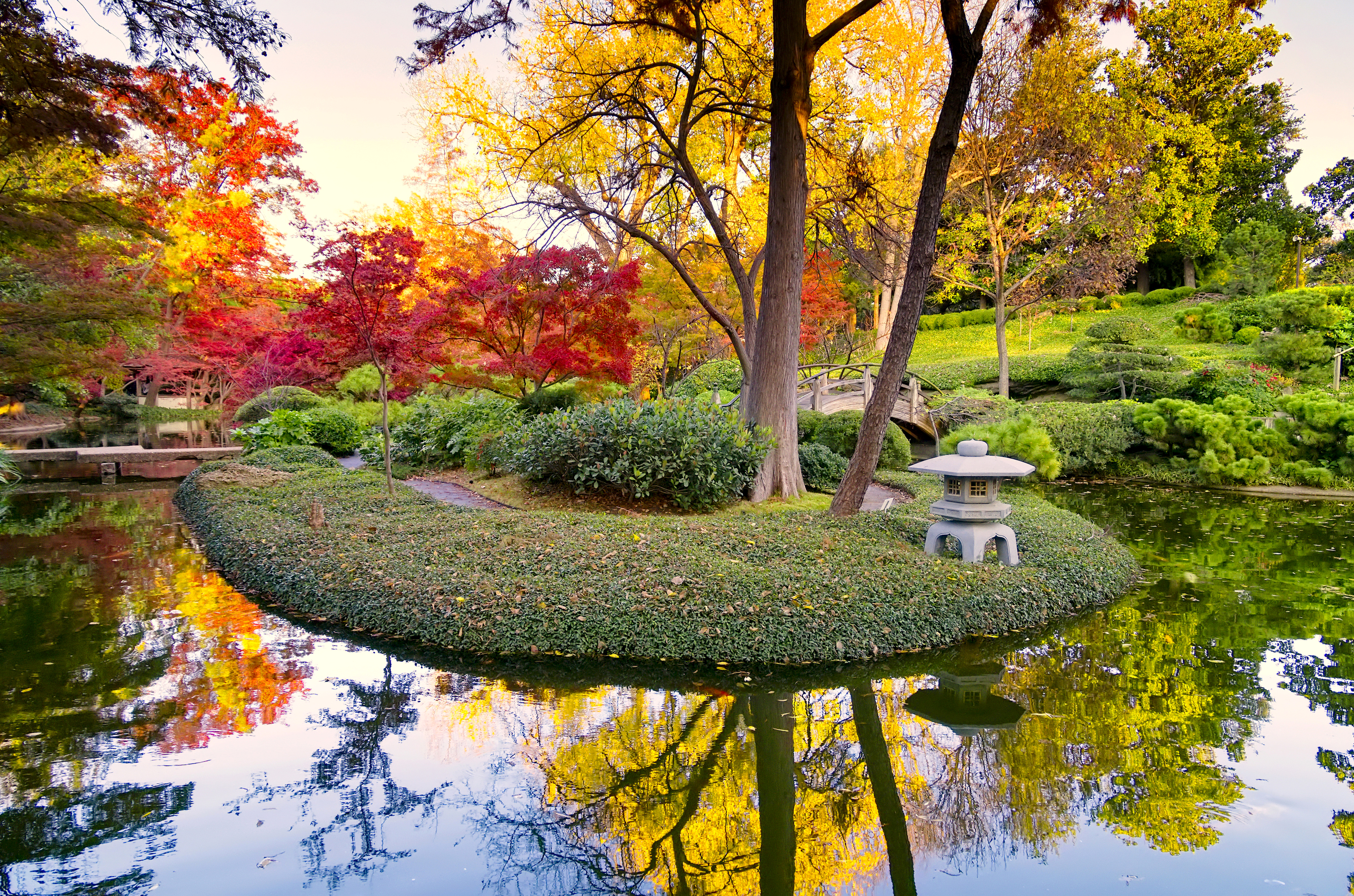 HD Windows Images fall, photography, tree, pond