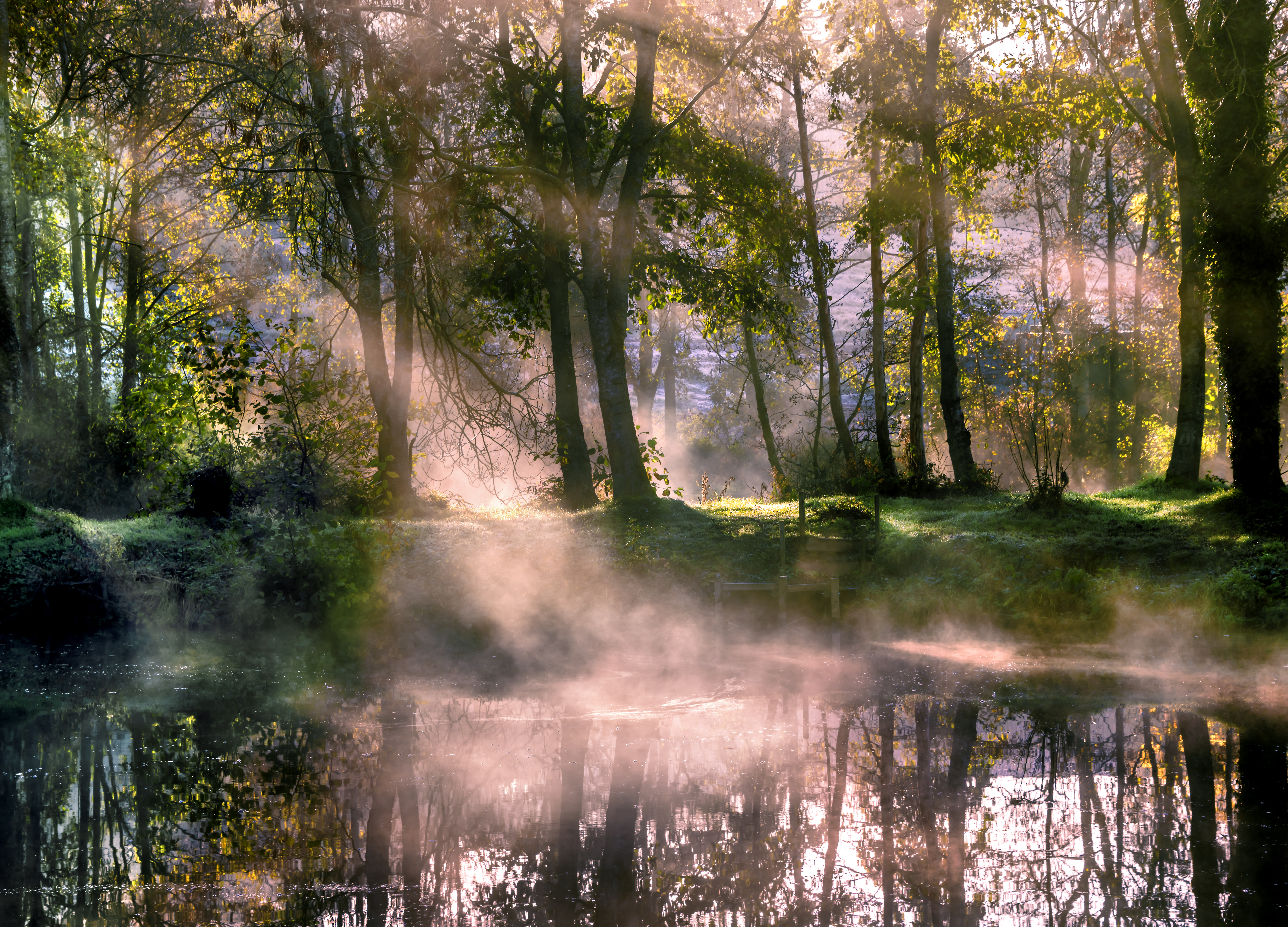 Laden Sie das Natur, Bäume, See, Nebel, Morgen, Sonnenlicht-Bild kostenlos auf Ihren PC-Desktop herunter