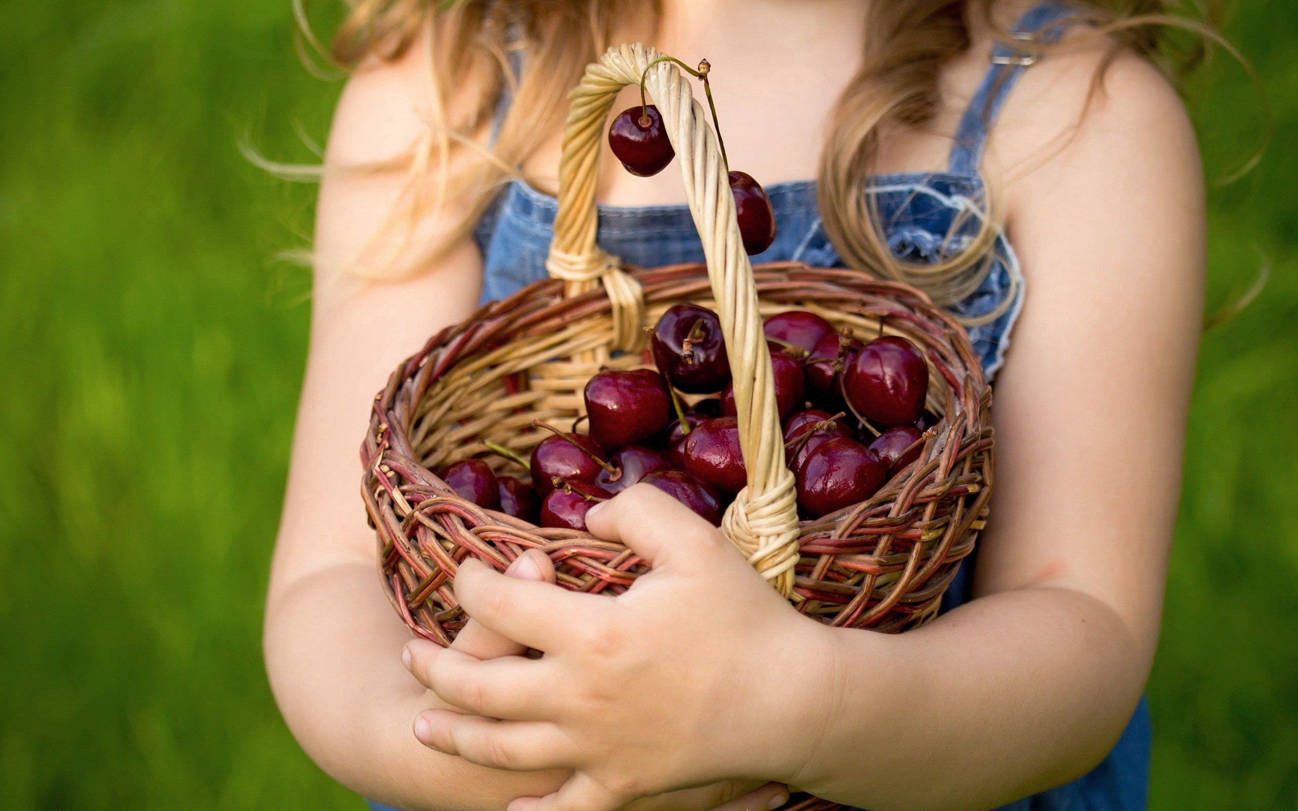 Sweet Cherry hands, basket, food, berries 4k Wallpaper