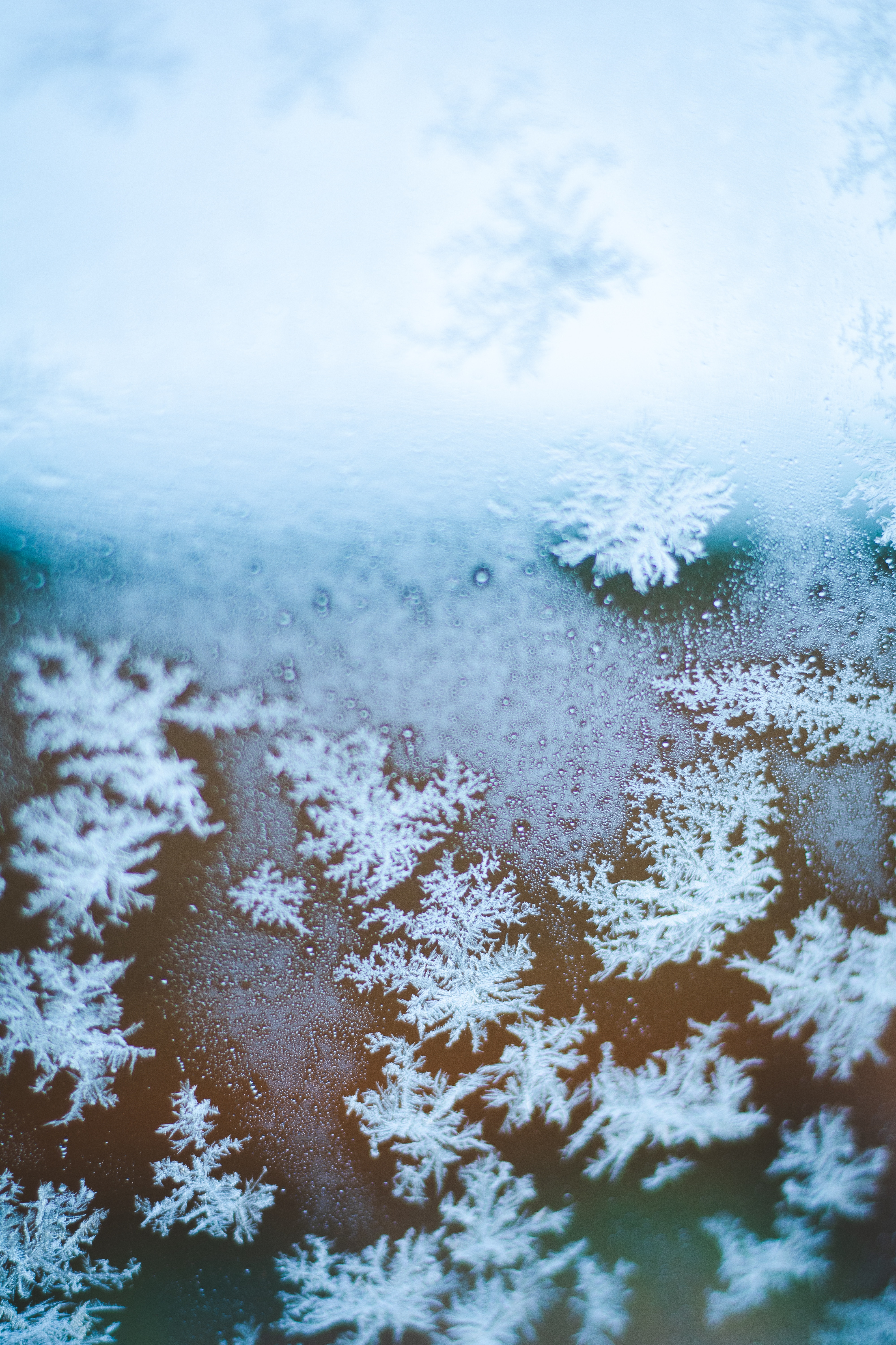 snowflakes, ice, macro, glass