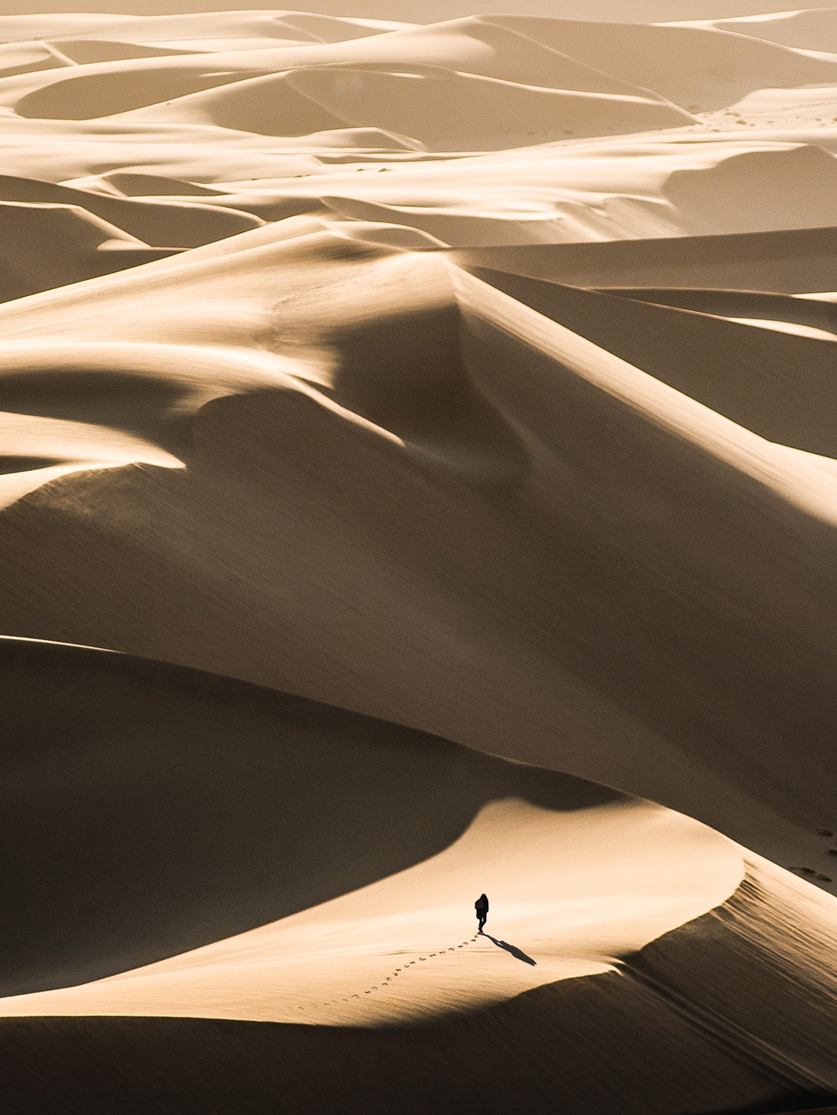 100353 Bild herunterladen natur, sand, wüste, silhouette, einsam, allein, dünen, wanderer, links - Hintergrundbilder und Bildschirmschoner kostenlos