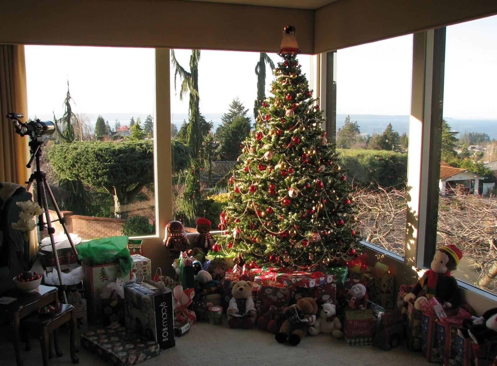 80609 скачать обои рождество, елка, праздники, игрушки, праздник, дом, стекло, подарки - заставки и картинки бесплатно