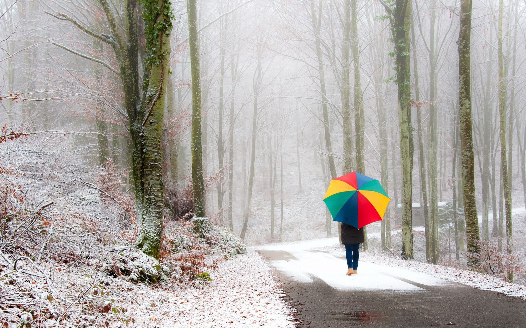 umbrella, nature, snow, road, park, fog, stroll, human, person mobile wallpaper