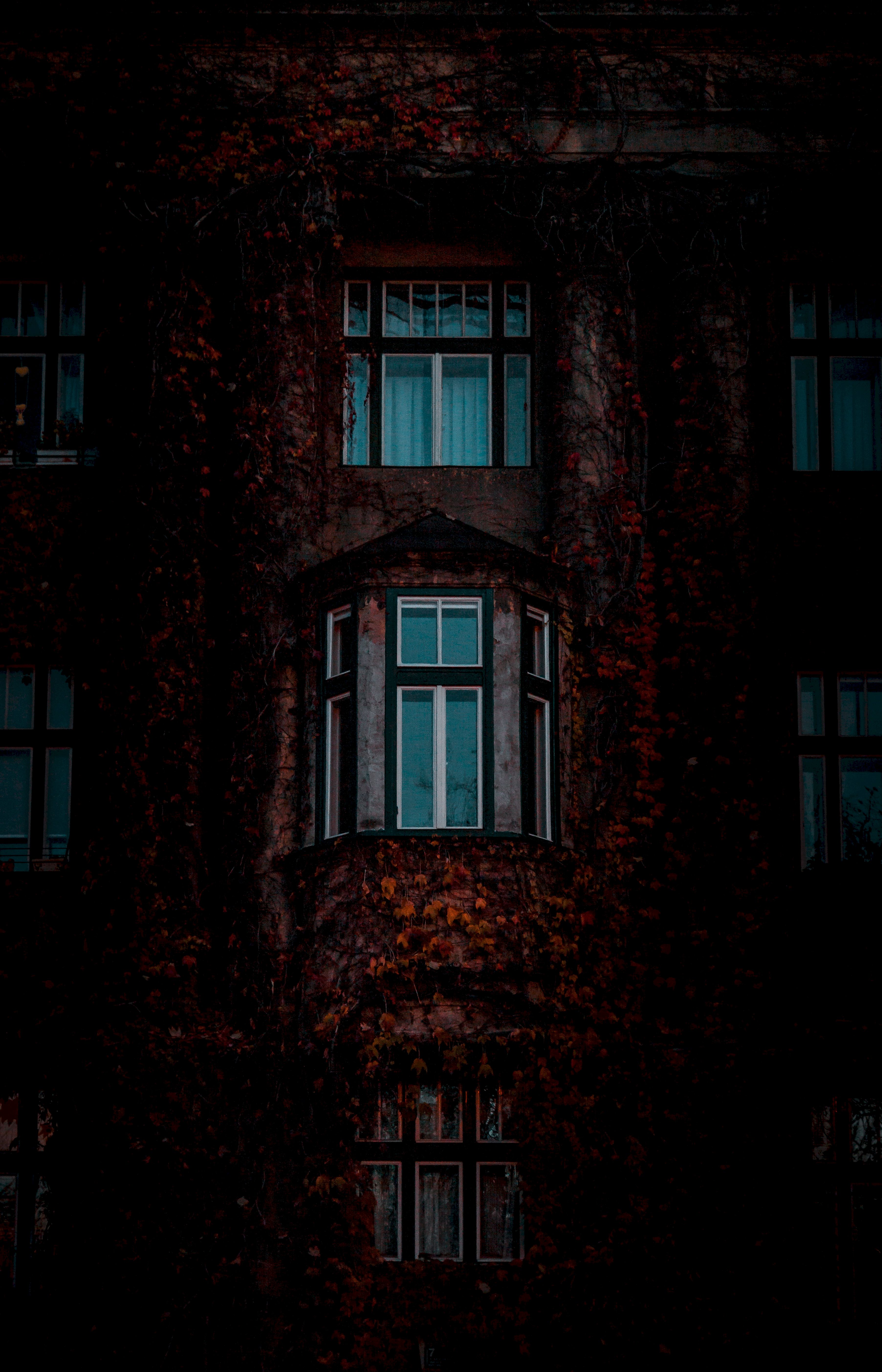 103776 Заставки и Обои Окна на телефон. Скачать листья, здание, темный, фасад картинки бесплатно