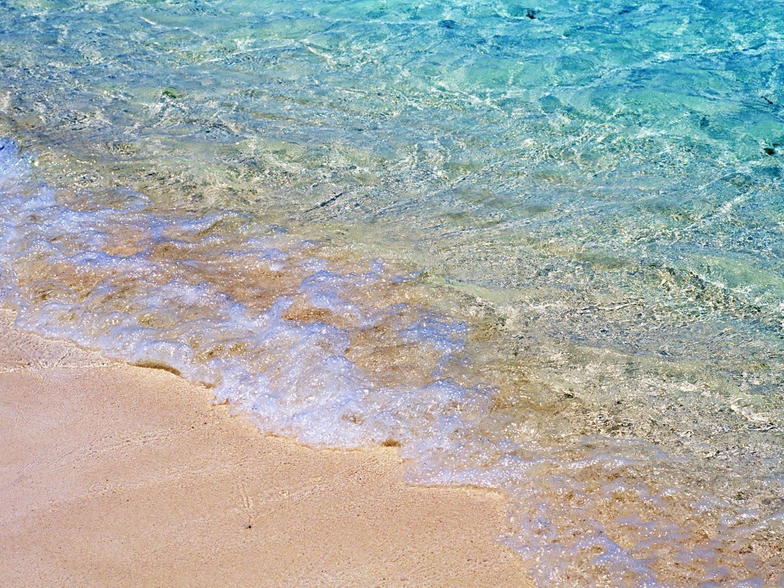 water, nature, sea, sand, transparent
