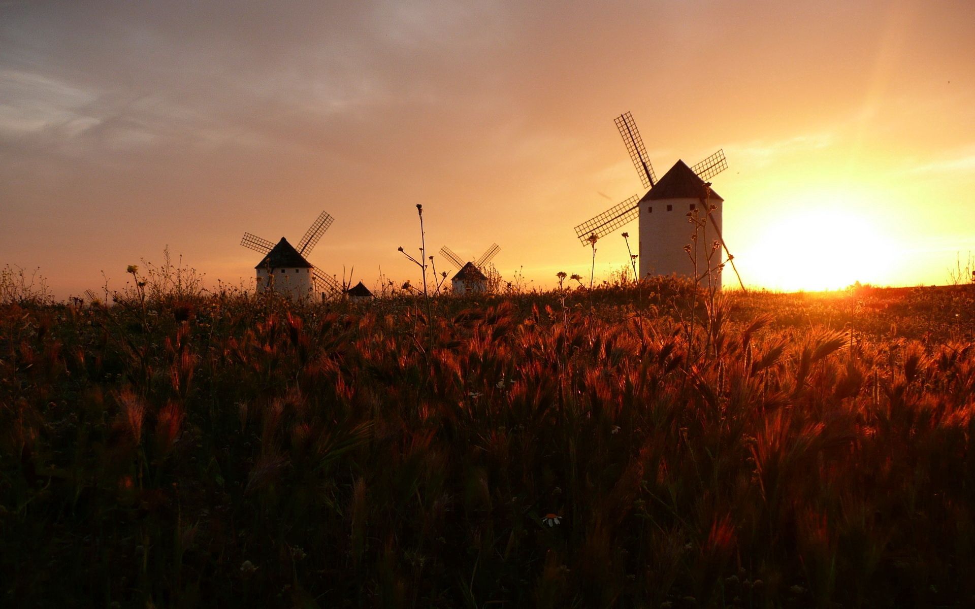 sunset, field, silence, mills Hd 1080p Mobile