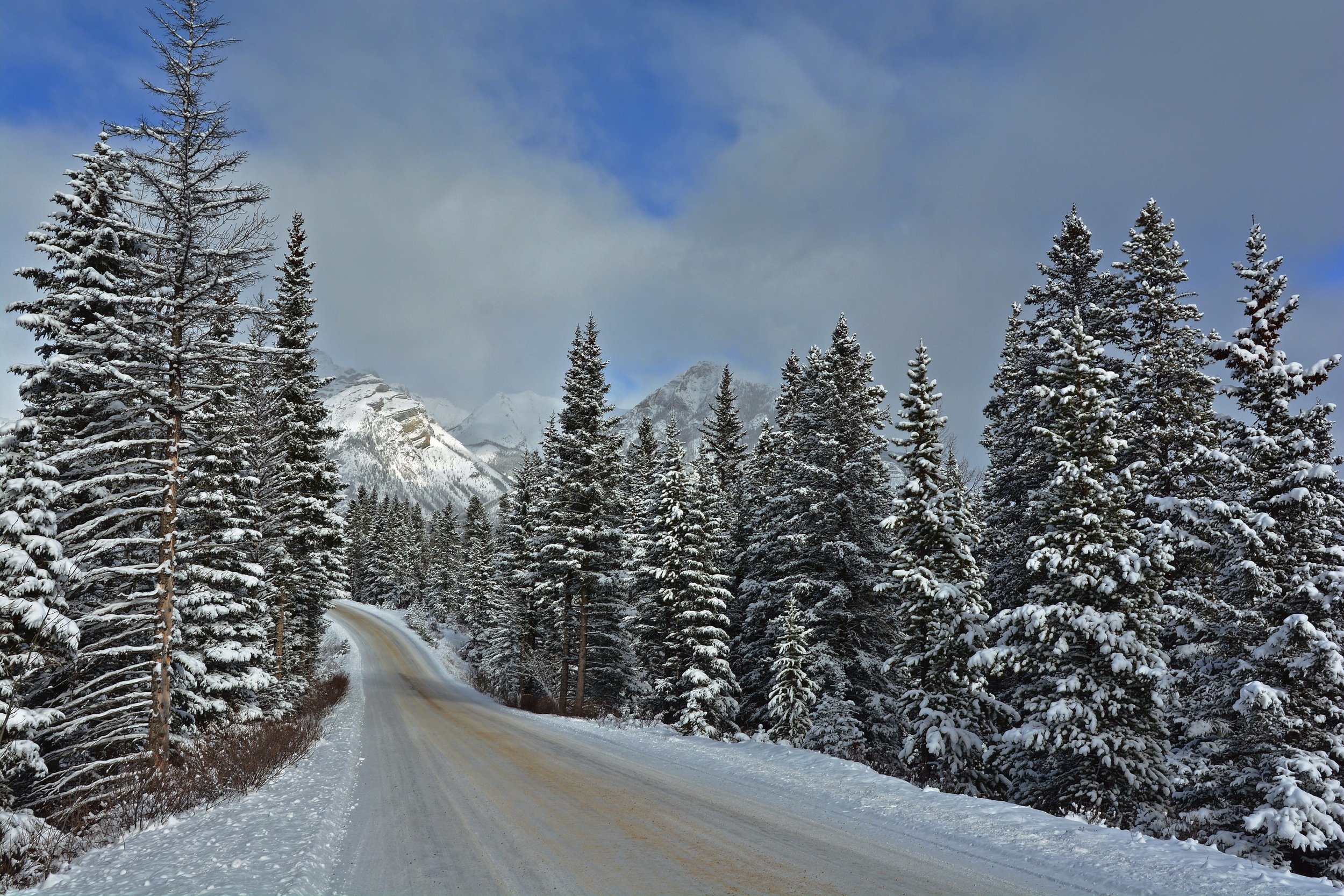 man made, road, banff national park, canada, landscape, mountain, pine, snow, tree, winter images