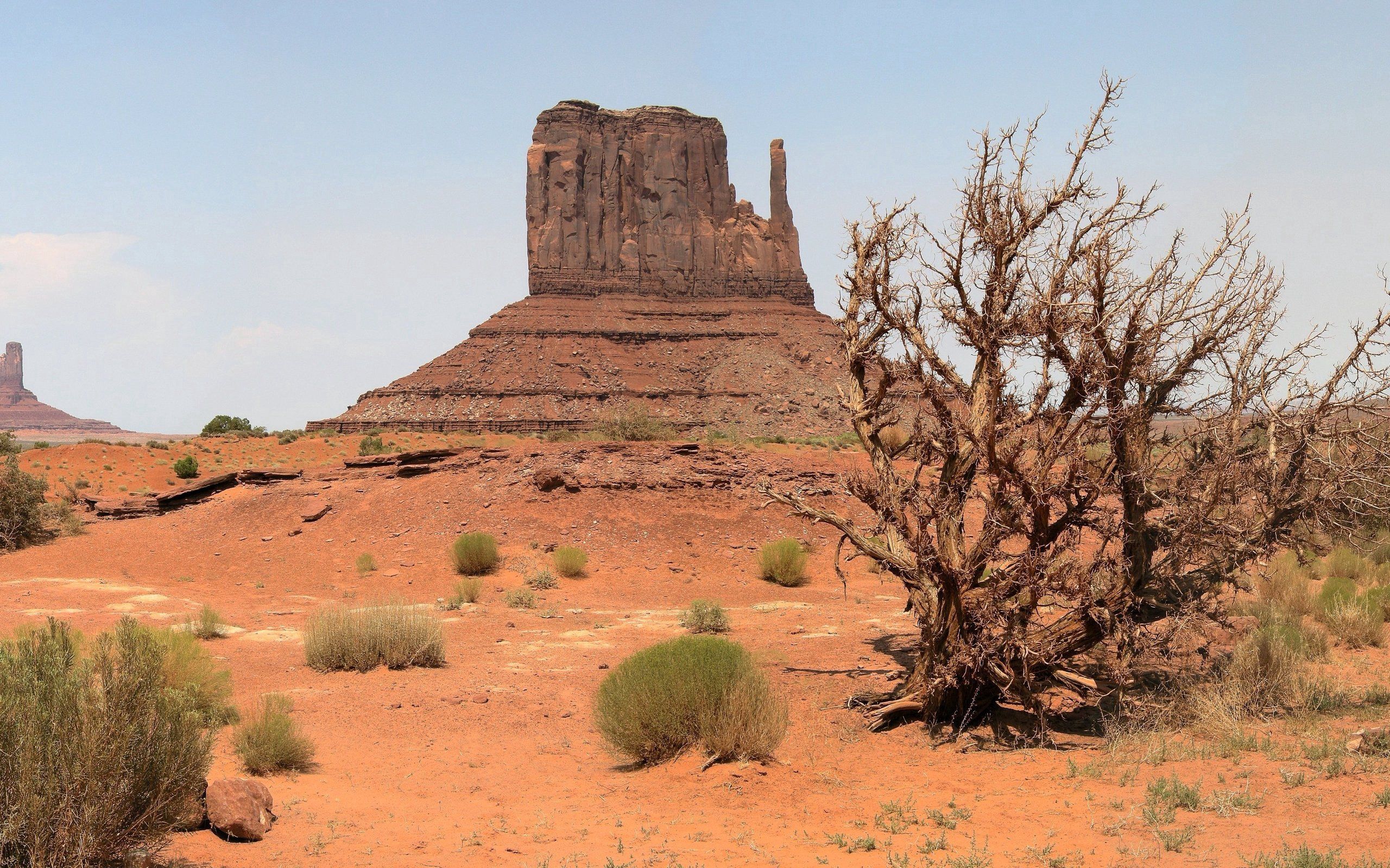 Popular Desert images for mobile phone