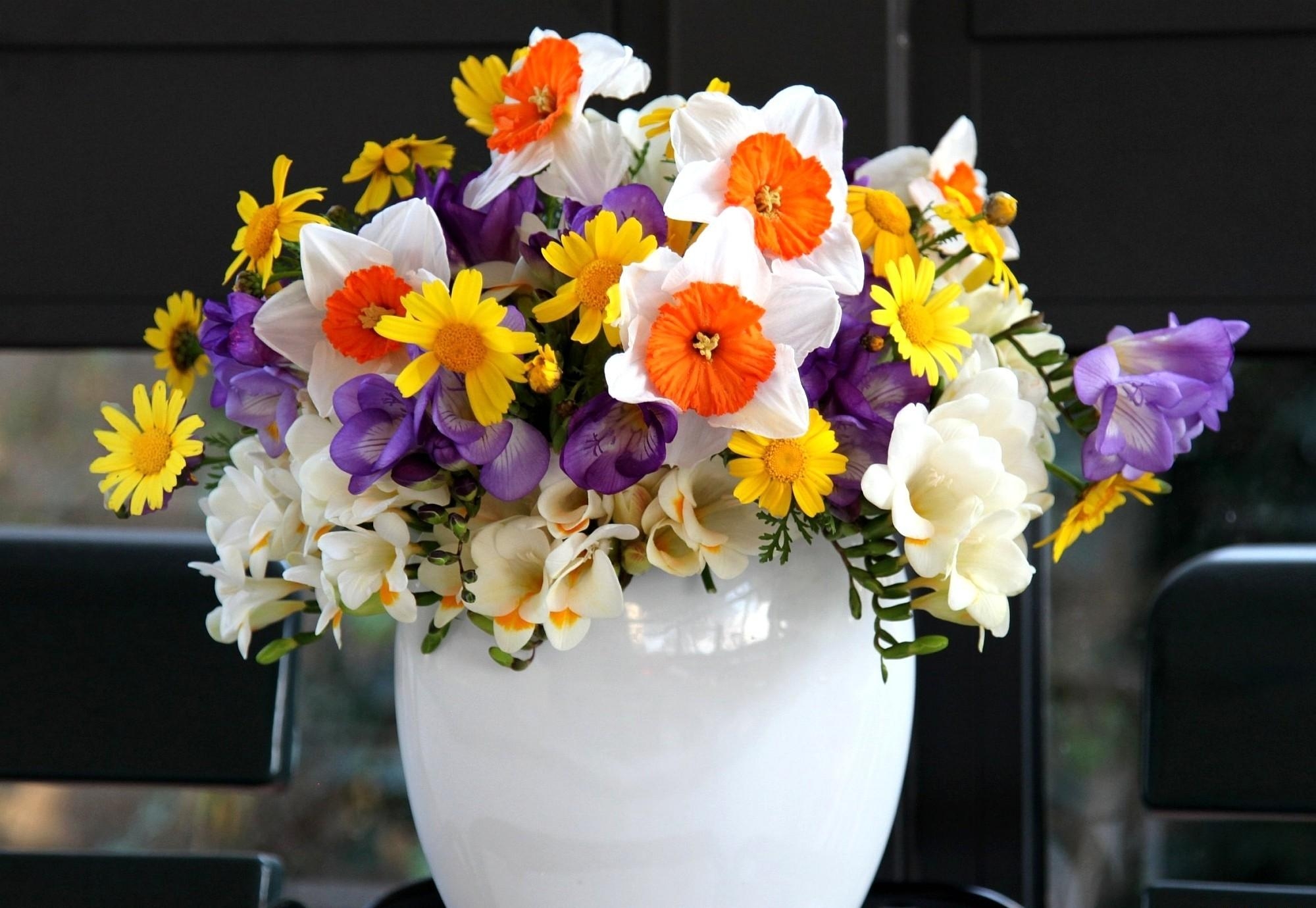 Laden Sie das Blumen, Narzissen, Strauß, Bouquet, Vase, Komposition, Zusammensetzung, Freesie-Bild kostenlos auf Ihren PC-Desktop herunter