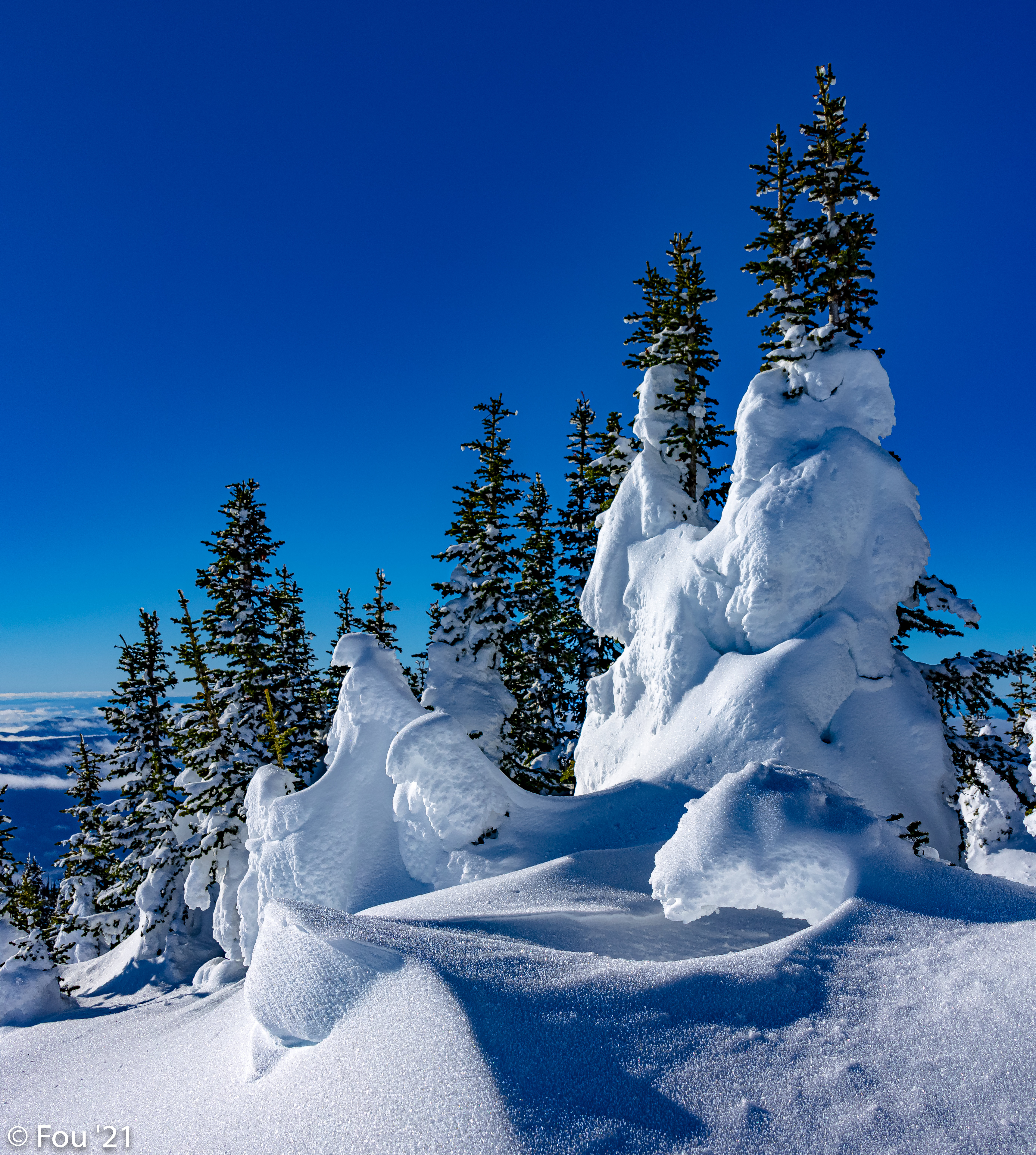 Laden Sie das Winter, Natur, Bäume, Schnee, Driften, Driftet-Bild kostenlos auf Ihren PC-Desktop herunter