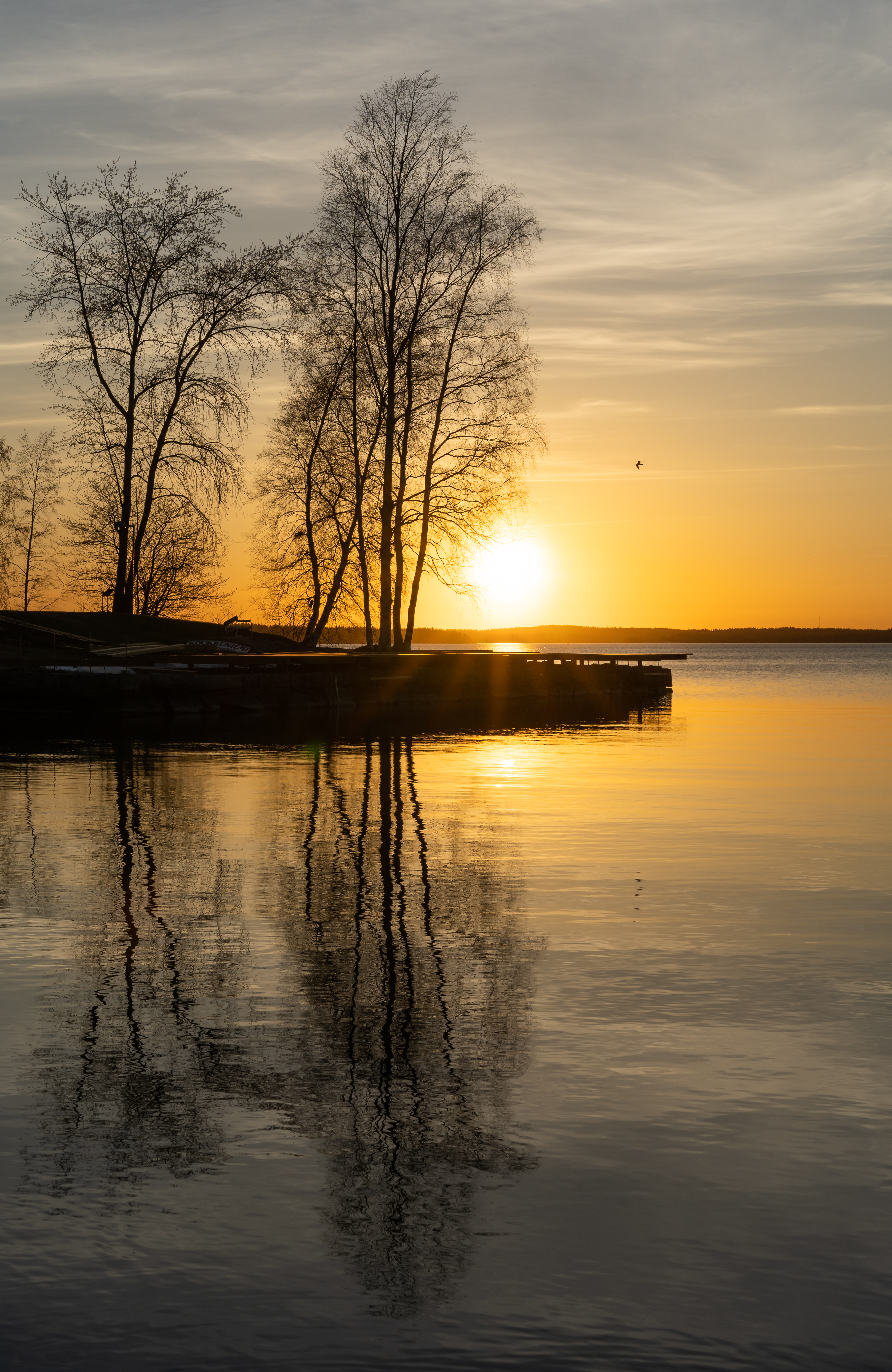 Sunset reflection, lake, nature, trees 4k Wallpaper
