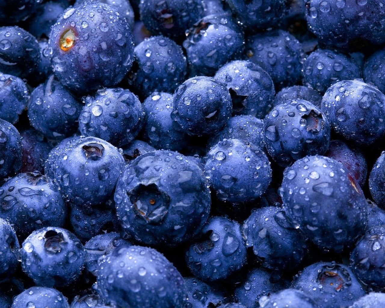 Handy-Wallpaper Hintergrund, Lebensmittel, Pflanzen, Blueberry, Berries kostenlos herunterladen.