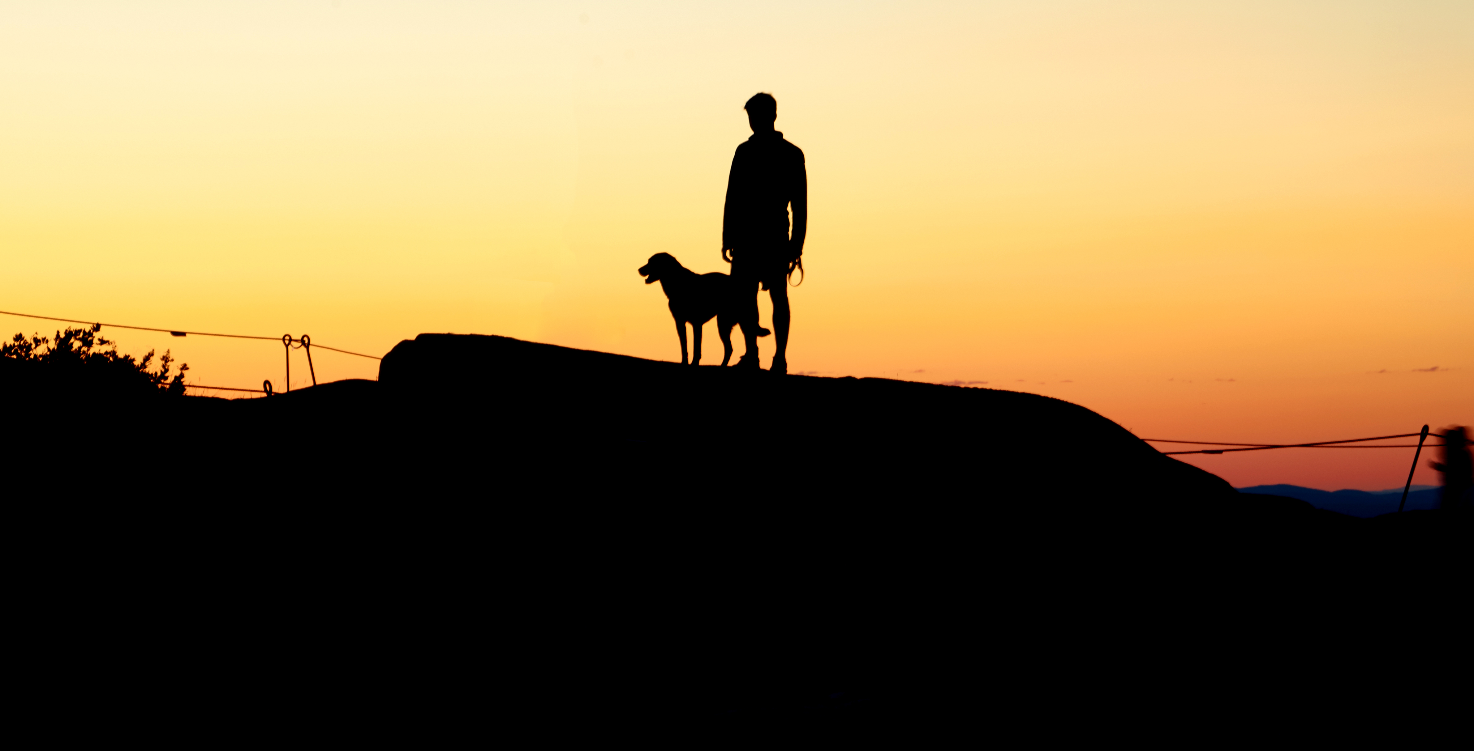 HD desktop wallpaper: Sunset, Dog, Human, Person, Hill, Dark, Silhouettes  download free picture #106829