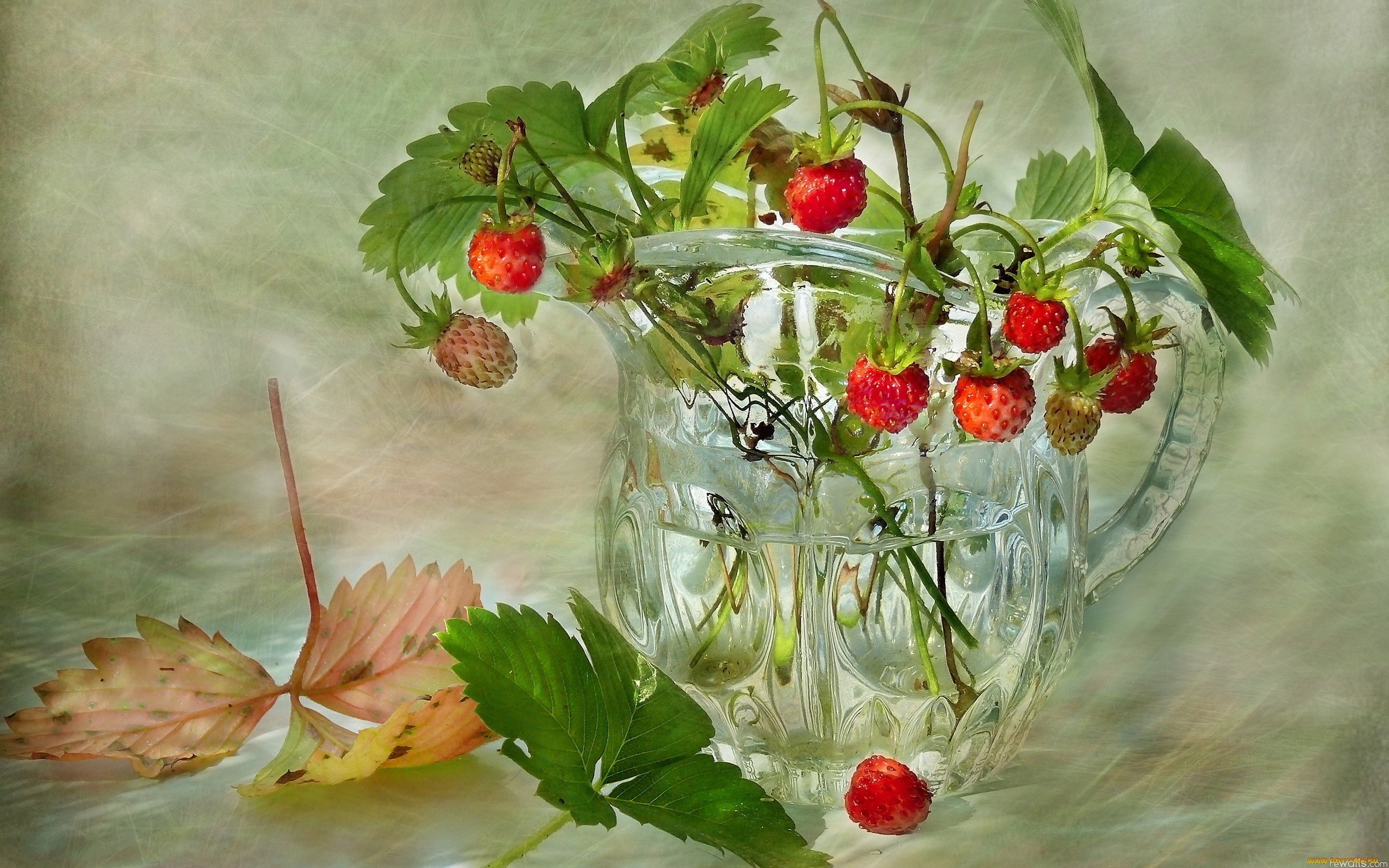 Cool Backgrounds green, berries Pictures