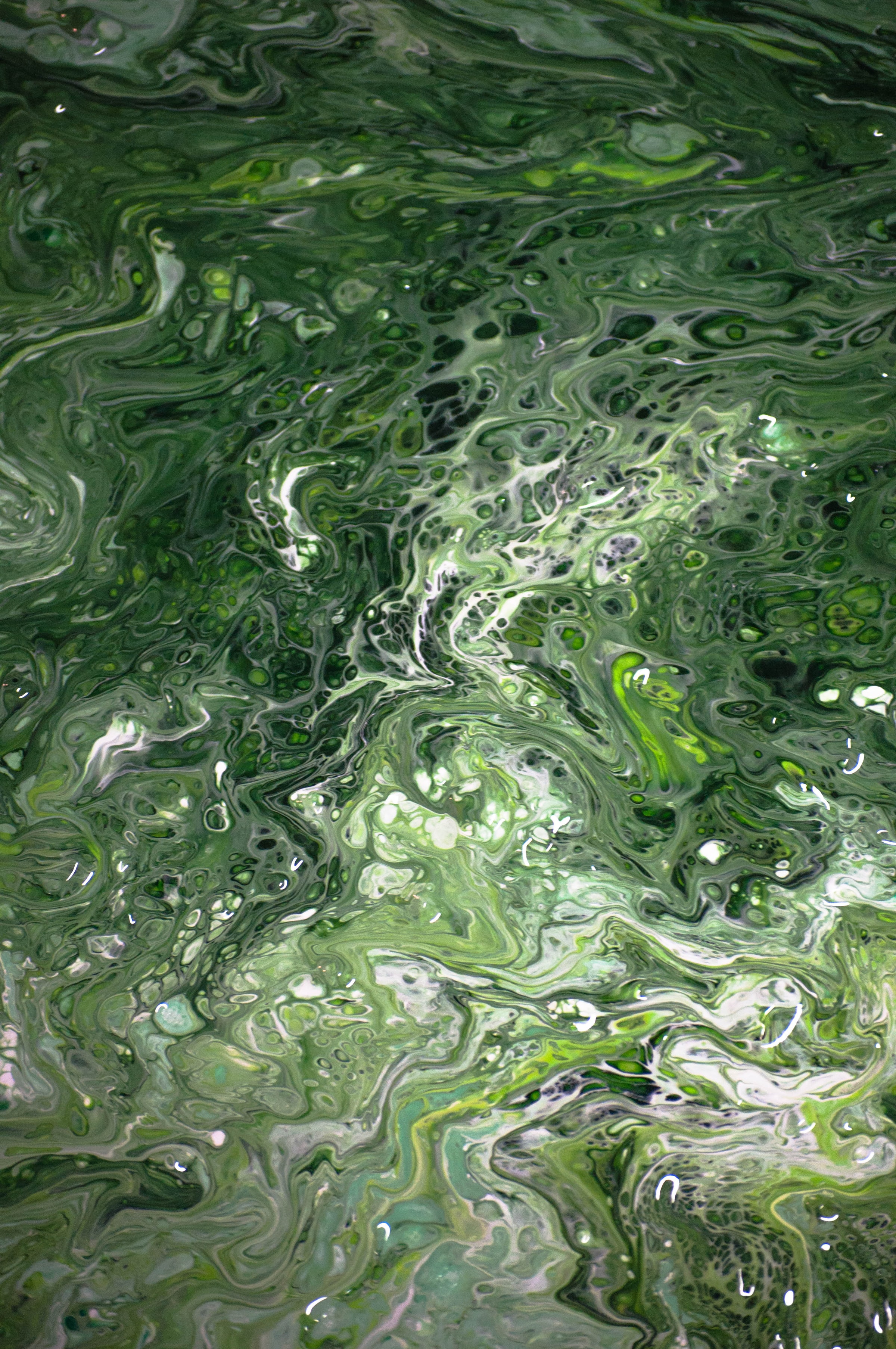 paint, liquid, abstract, green, divorces, fluid art phone wallpaper