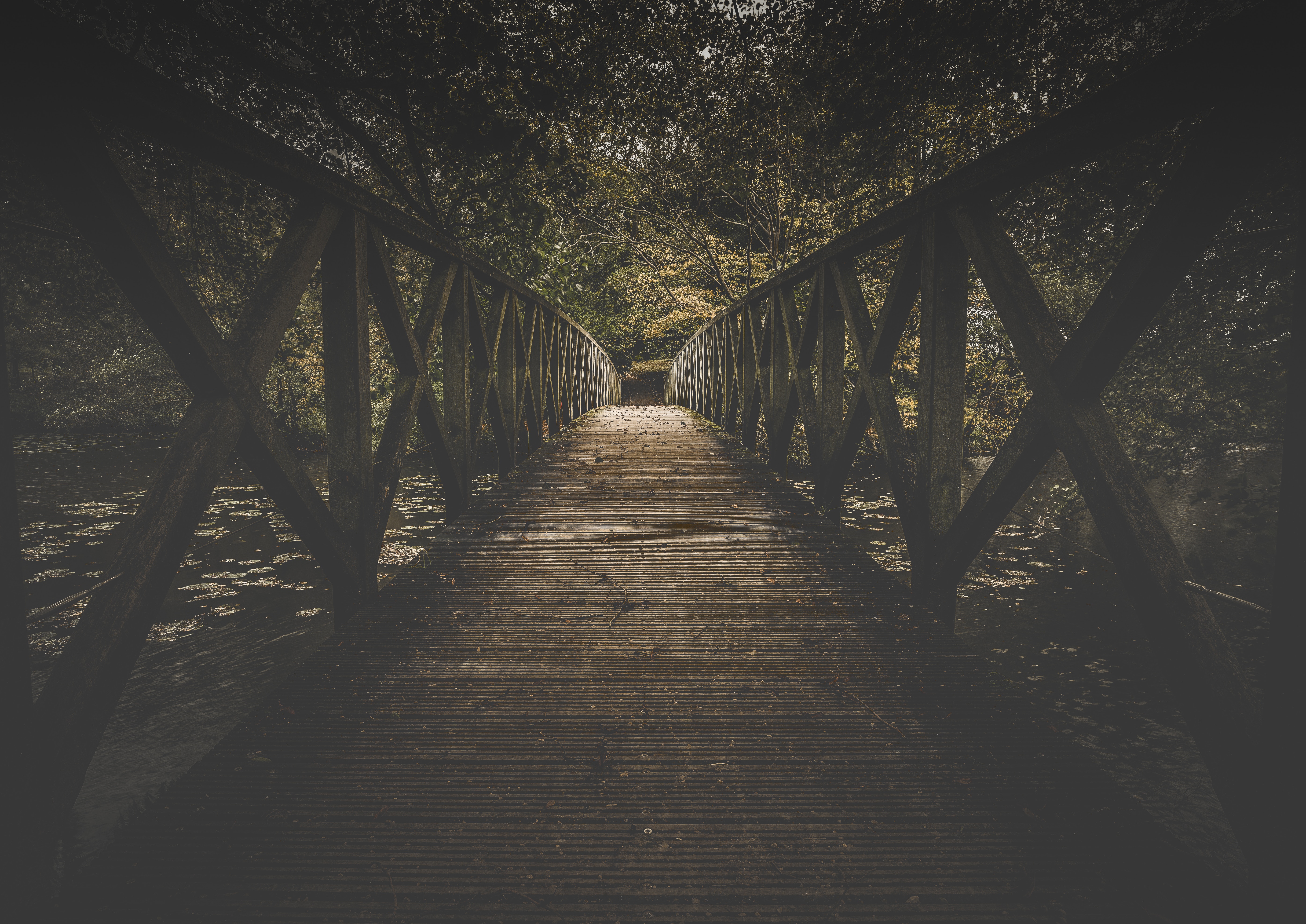 80580 free wallpaper 1080x2340 for phone, download images nature, bridge, trees, boardwalk 1080x2340 for mobile